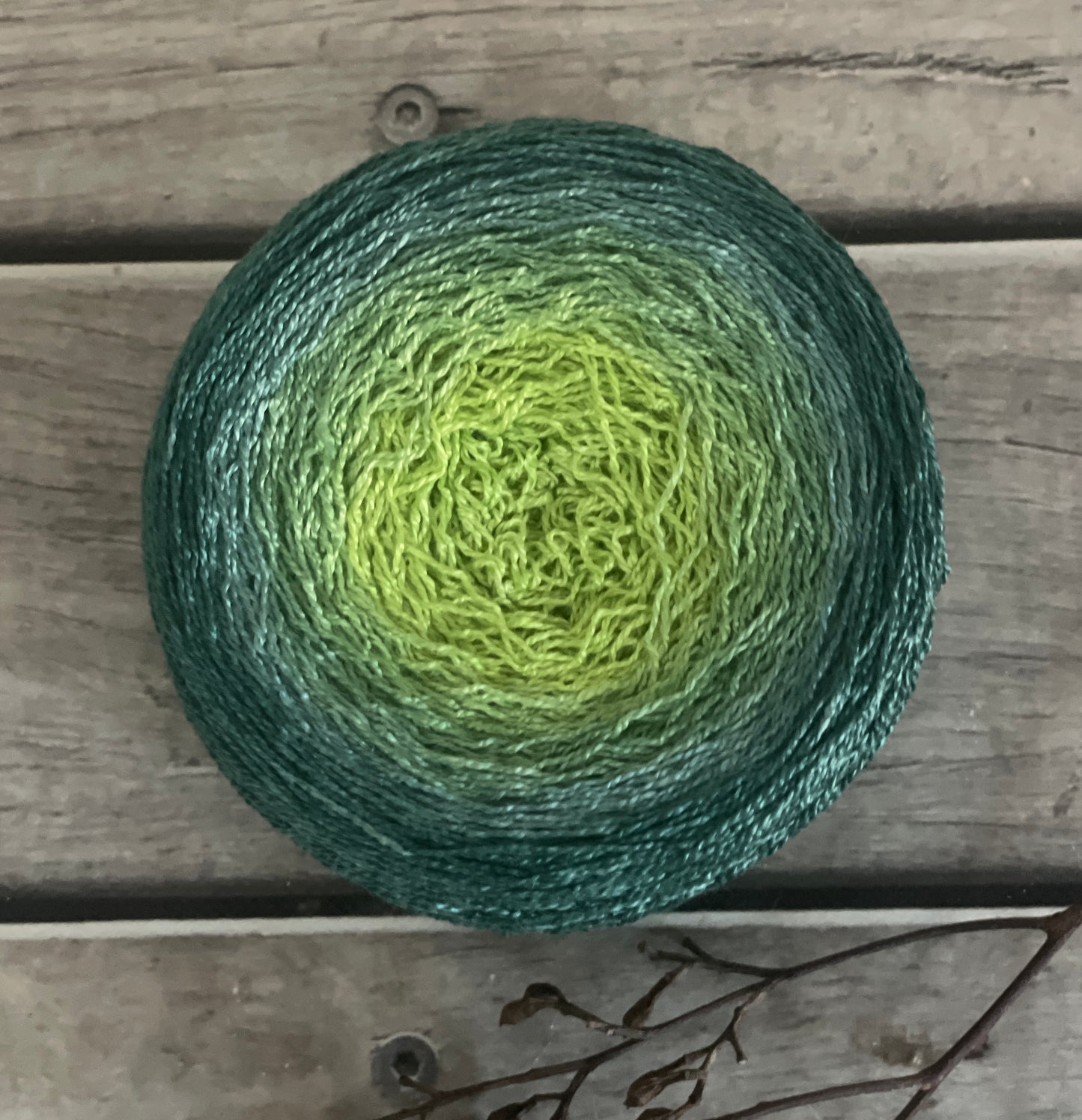 Temperate Rainforest variant