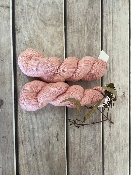Peach Crush on Camelia - silk and cotton 4 ply