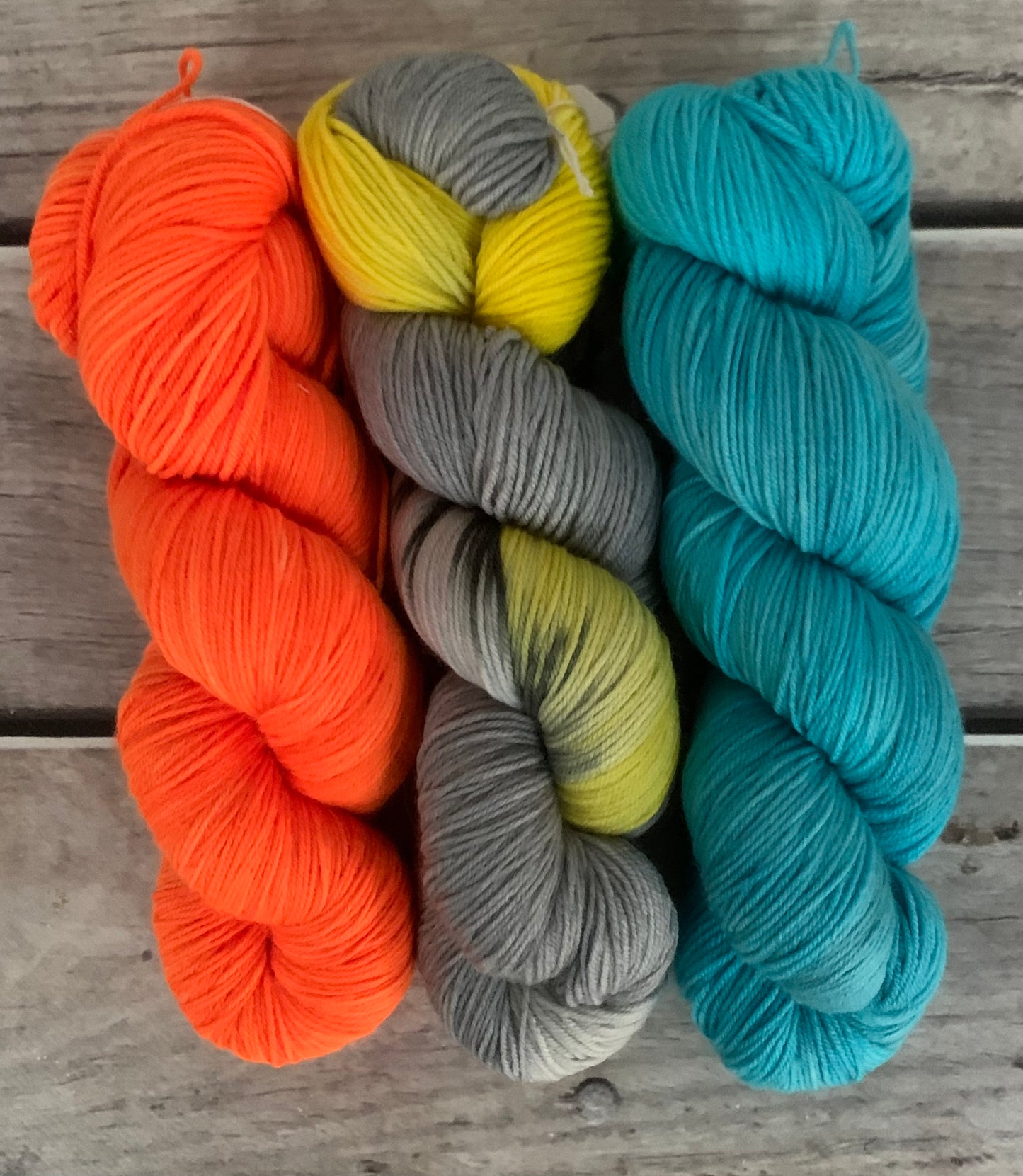 Golden Shouldered Parrot - Darjeeling 3-skein sock set