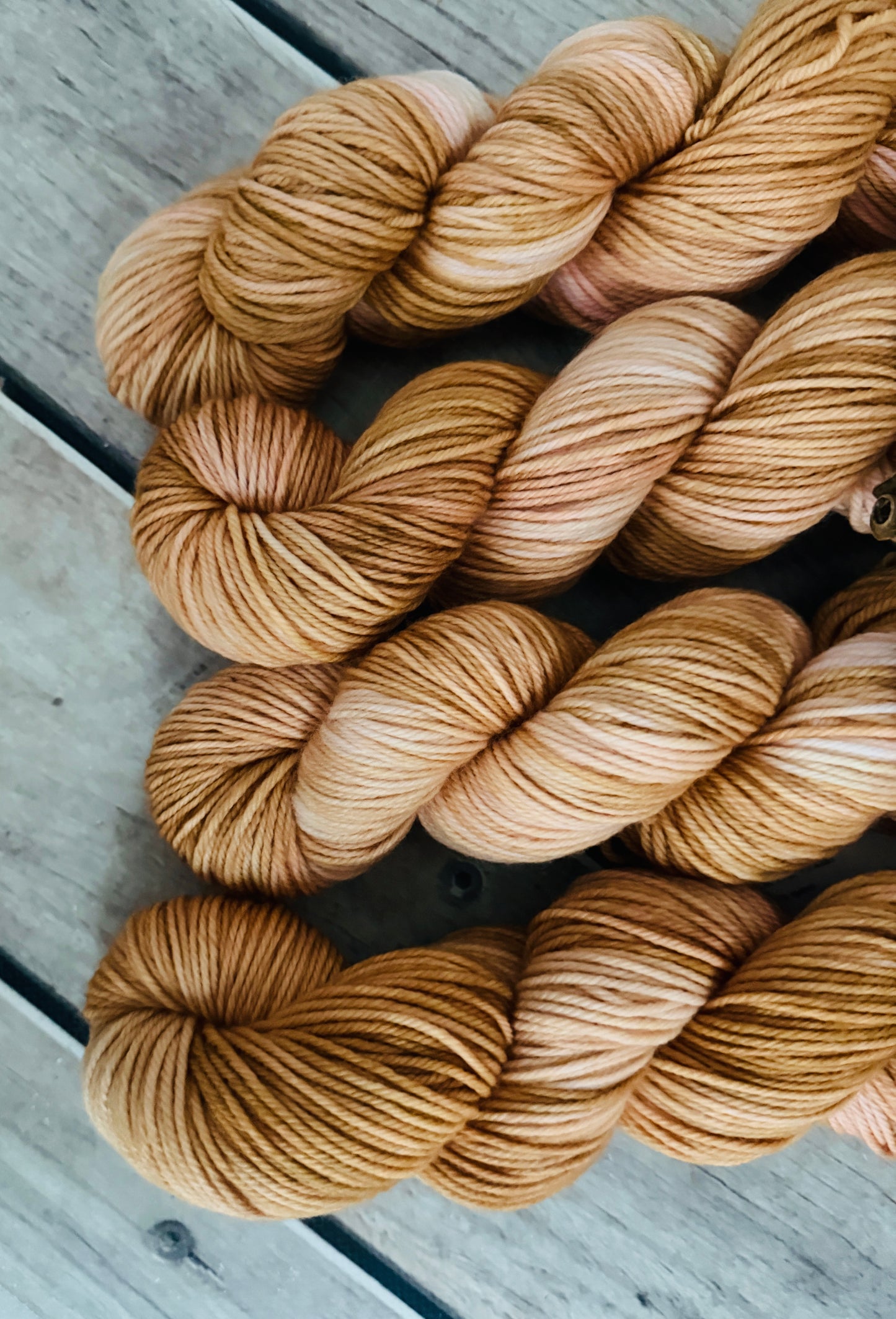Conch Shell - Darjeeling DK sock yarn - 8 ply (50g skeins)