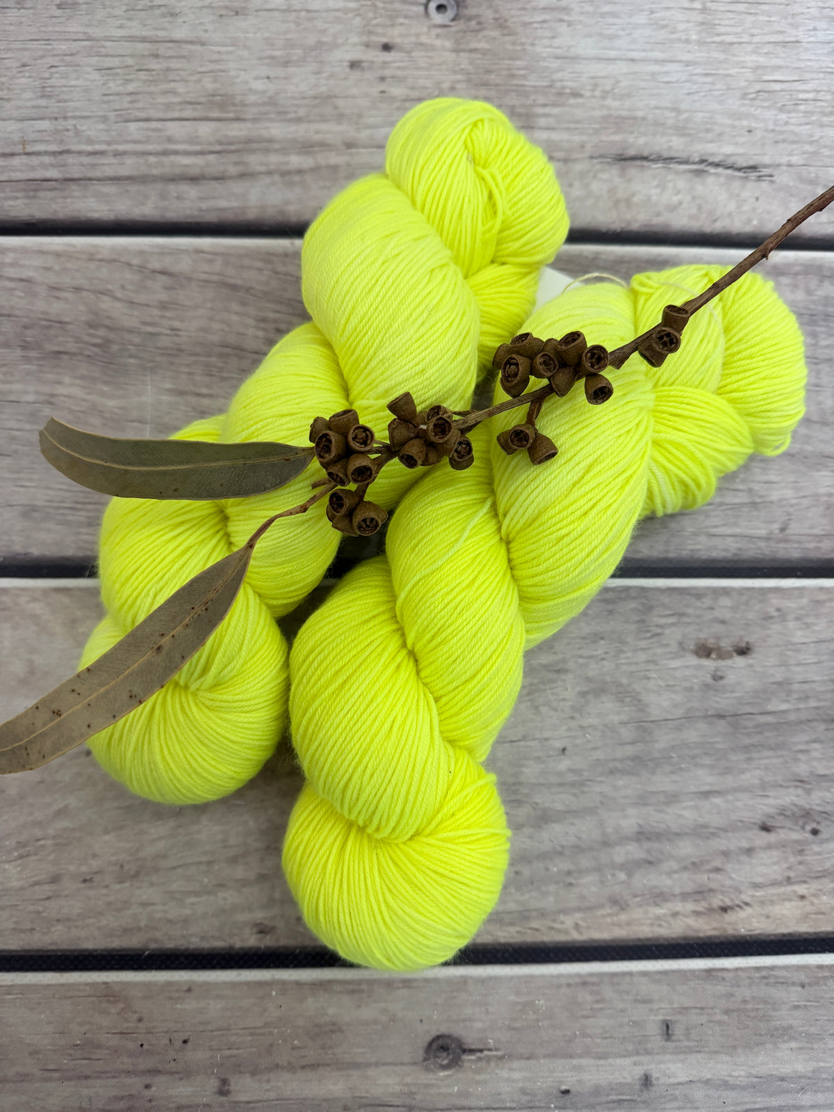 Aurora whole skeins - Merino/Nylon - Darjeeling