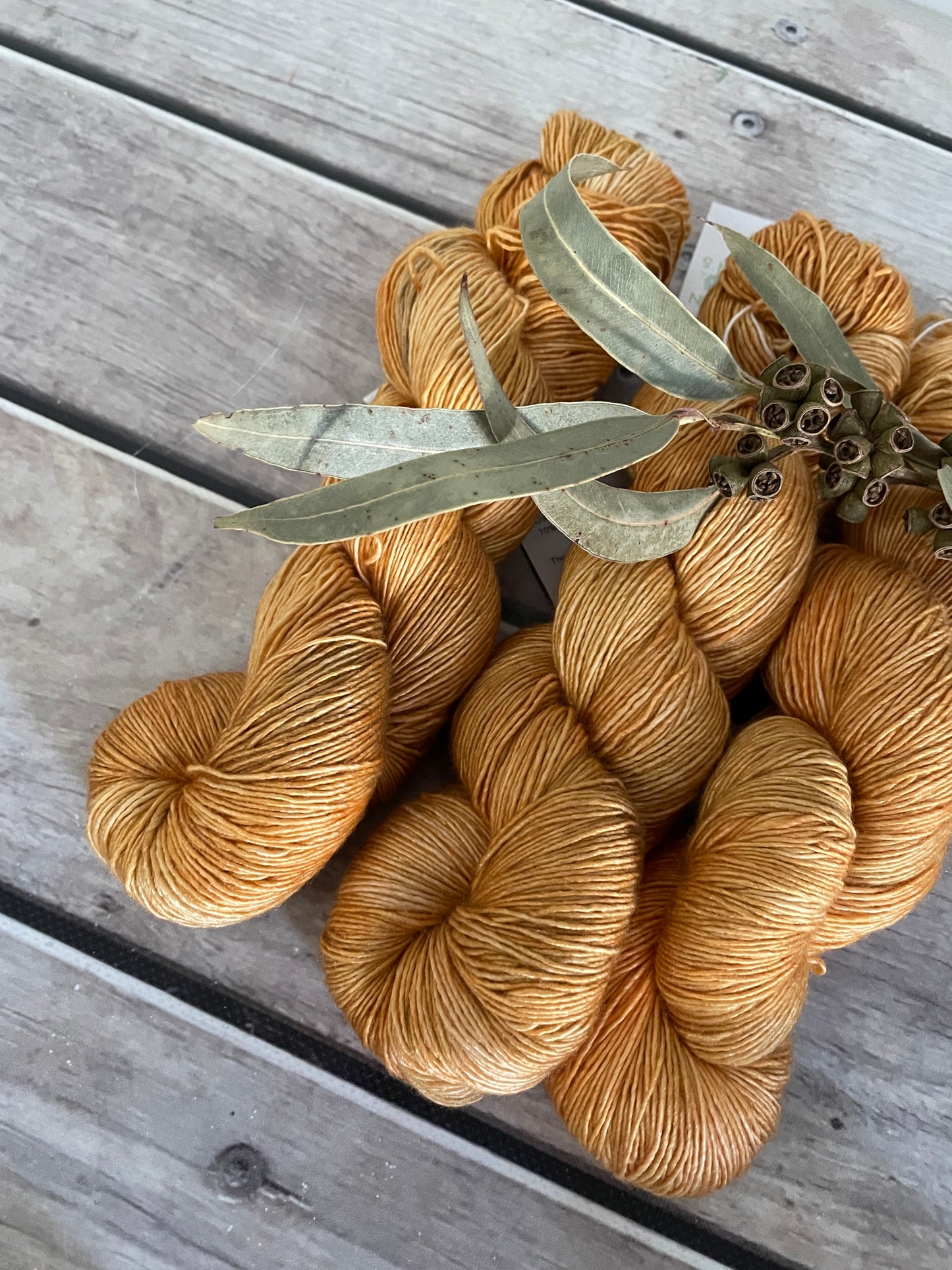 Helena Gum Moth #2 - Merino/ Silk 4 ply single - Osmanthus4