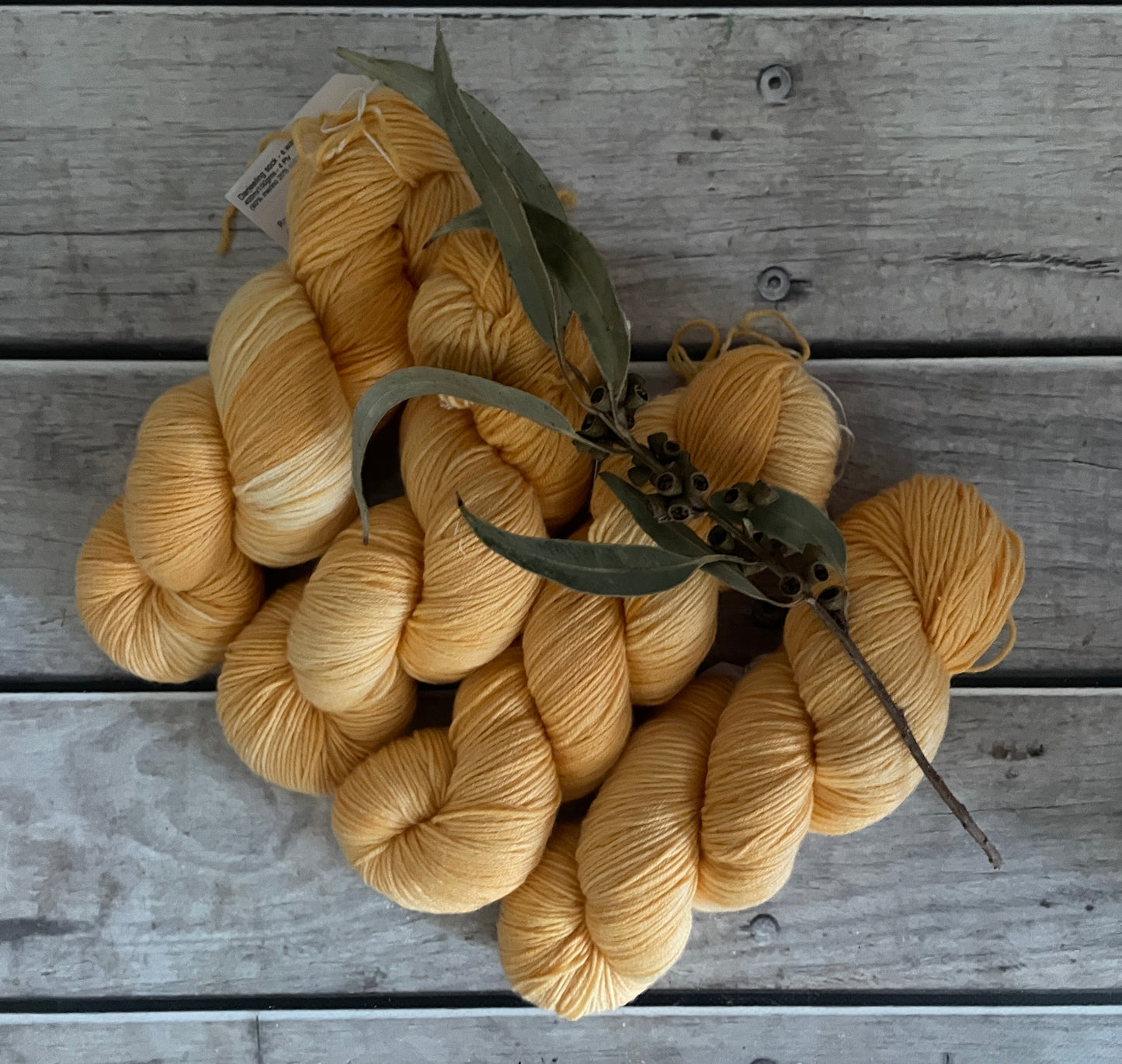 Roseate Emperor Moth #3 - Darjeeling sock yarn - 4 ply