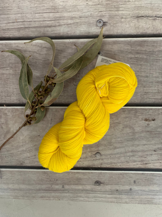 You are my Sunshine- sock yarn in merino and nylon - Darjeeling