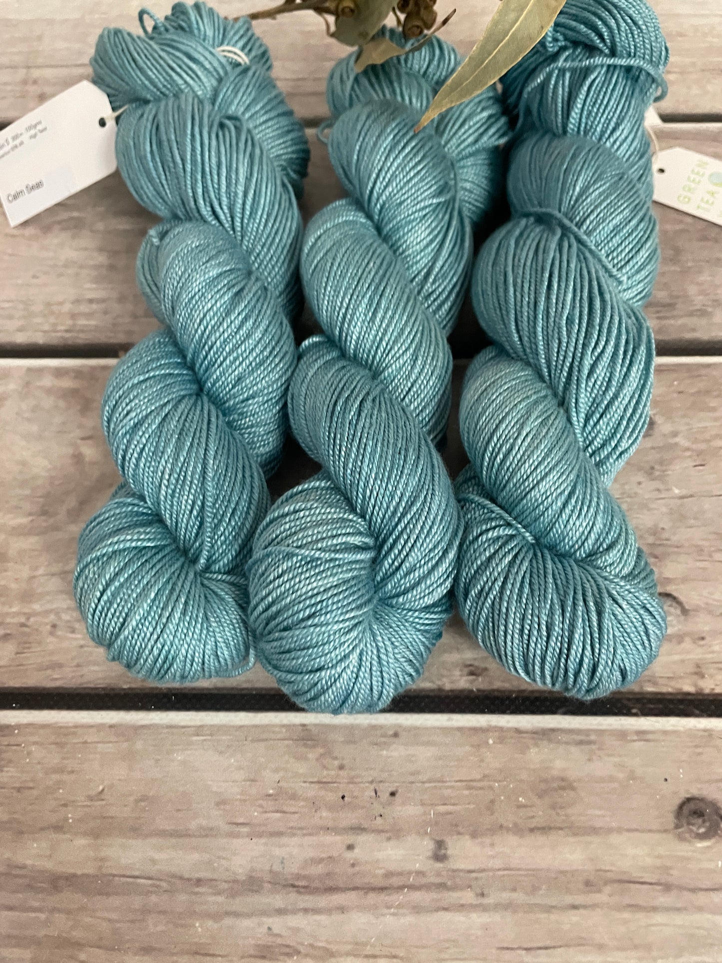 Calm Seas - 5 ply silk and merino - Jasmine 5