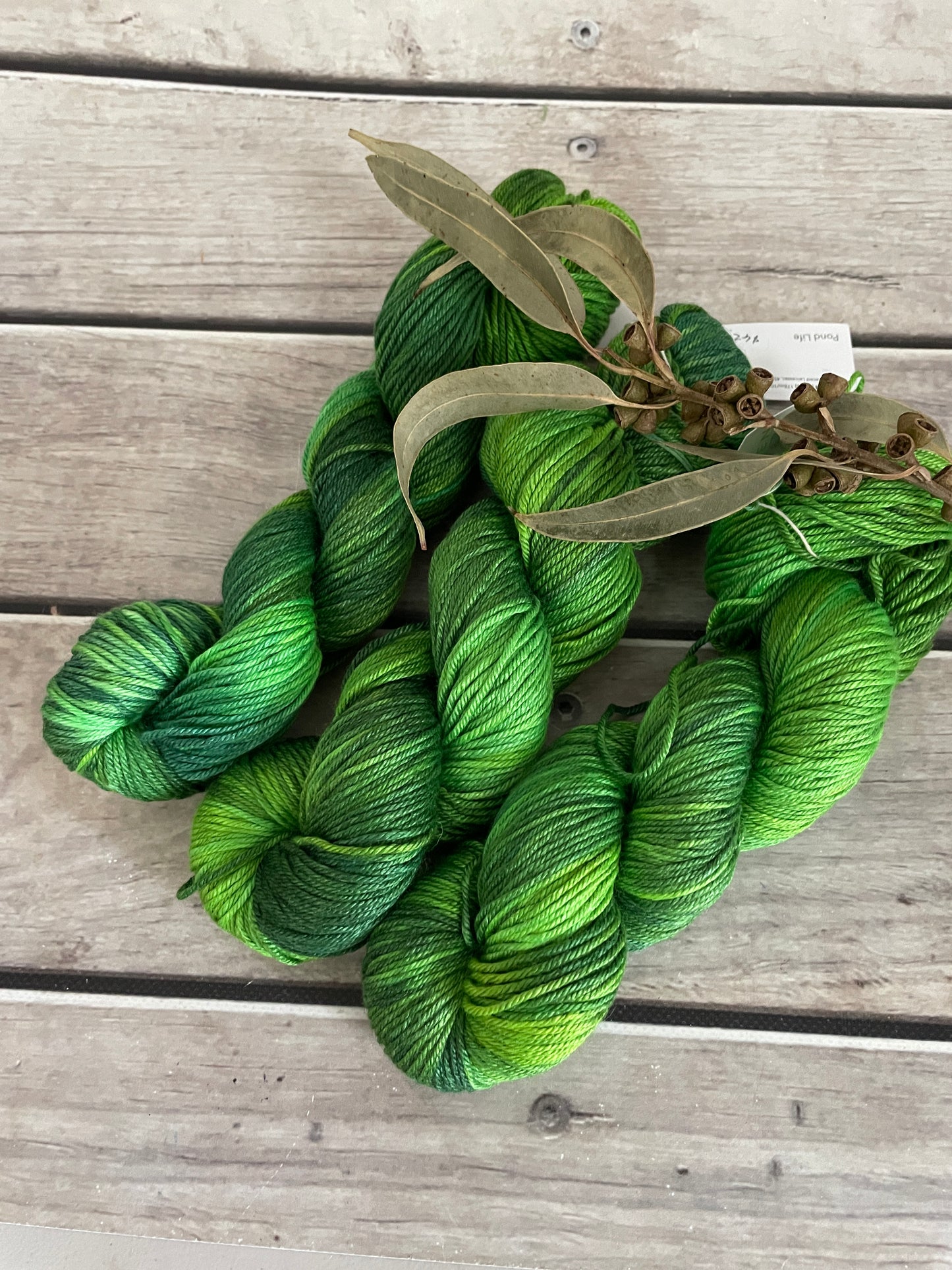 Pond Life - 8 Ply - BFL and silk - Luschan DK