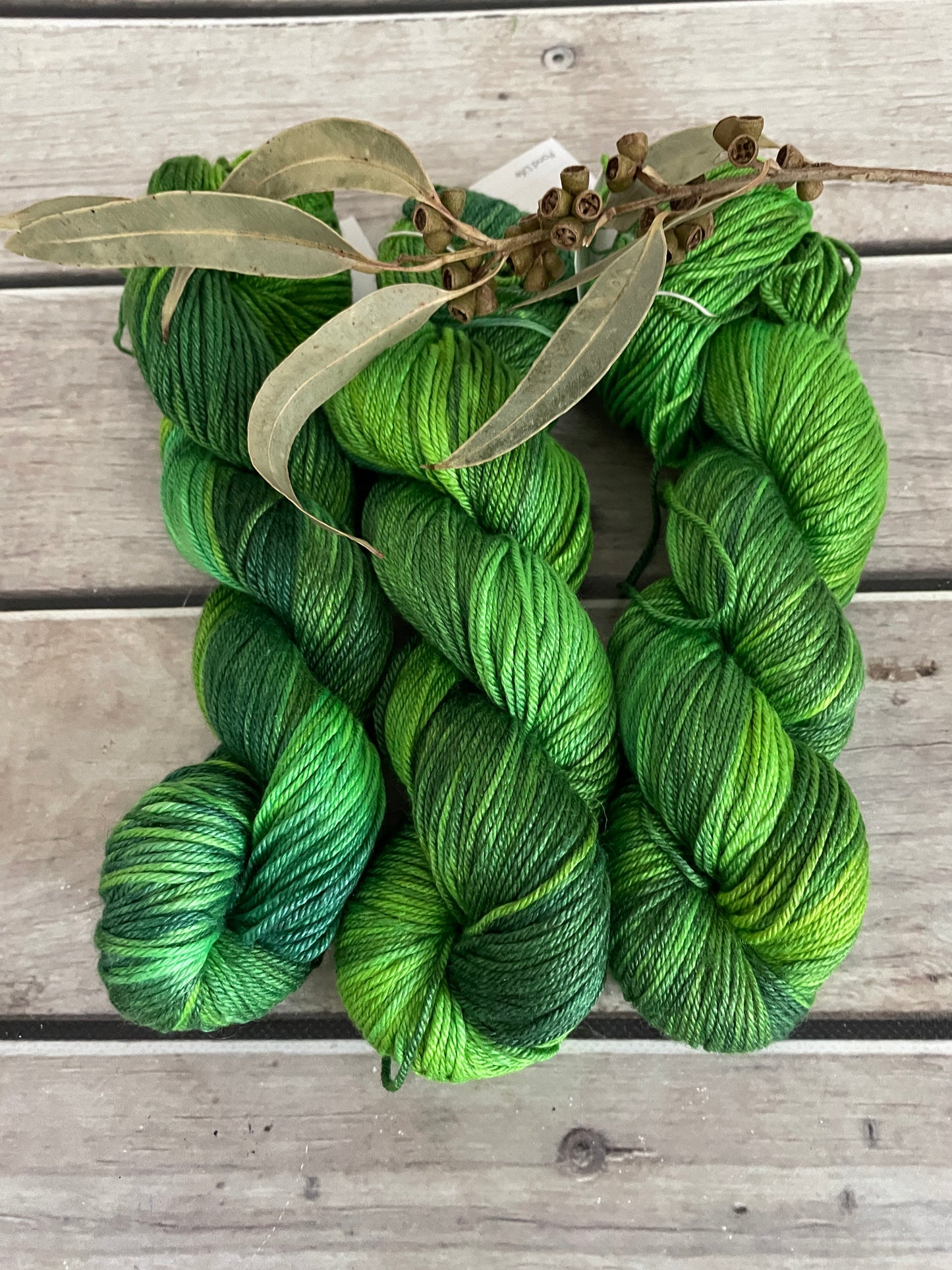 Pond Life - 8 Ply - BFL and silk - Luschan DK