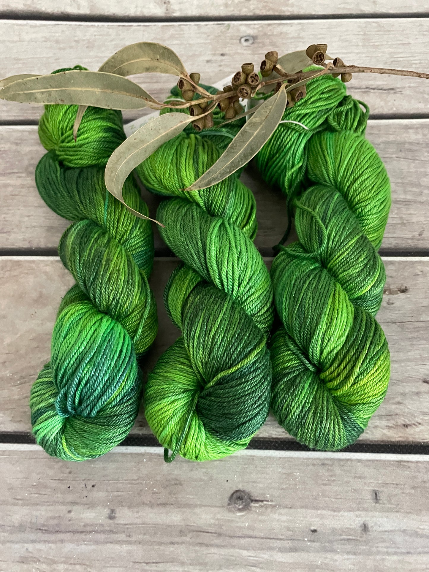 Pond Life - 8 Ply - BFL and silk - Luschan DK