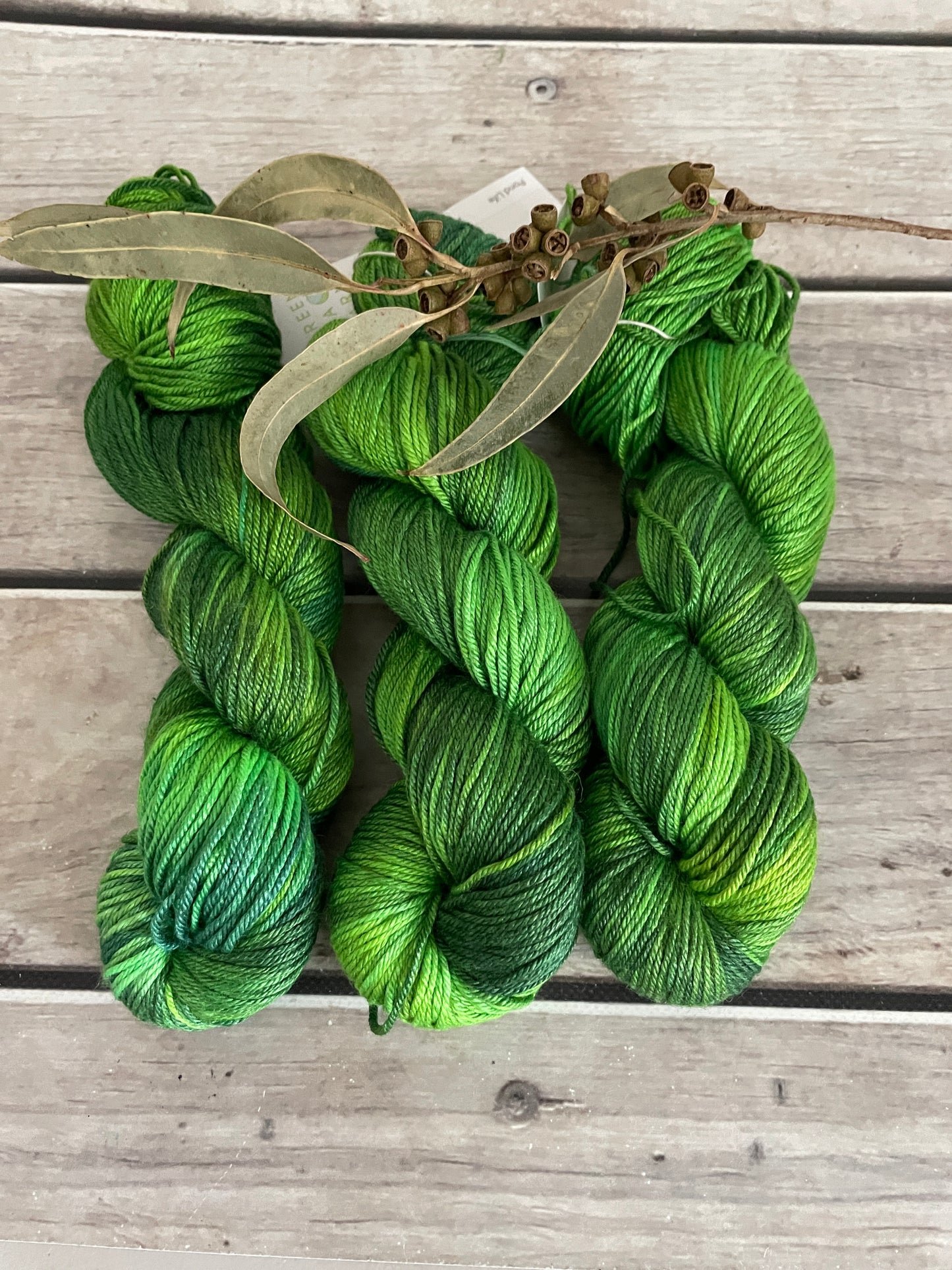 Pond Life - 8 Ply - BFL and silk - Luschan DK