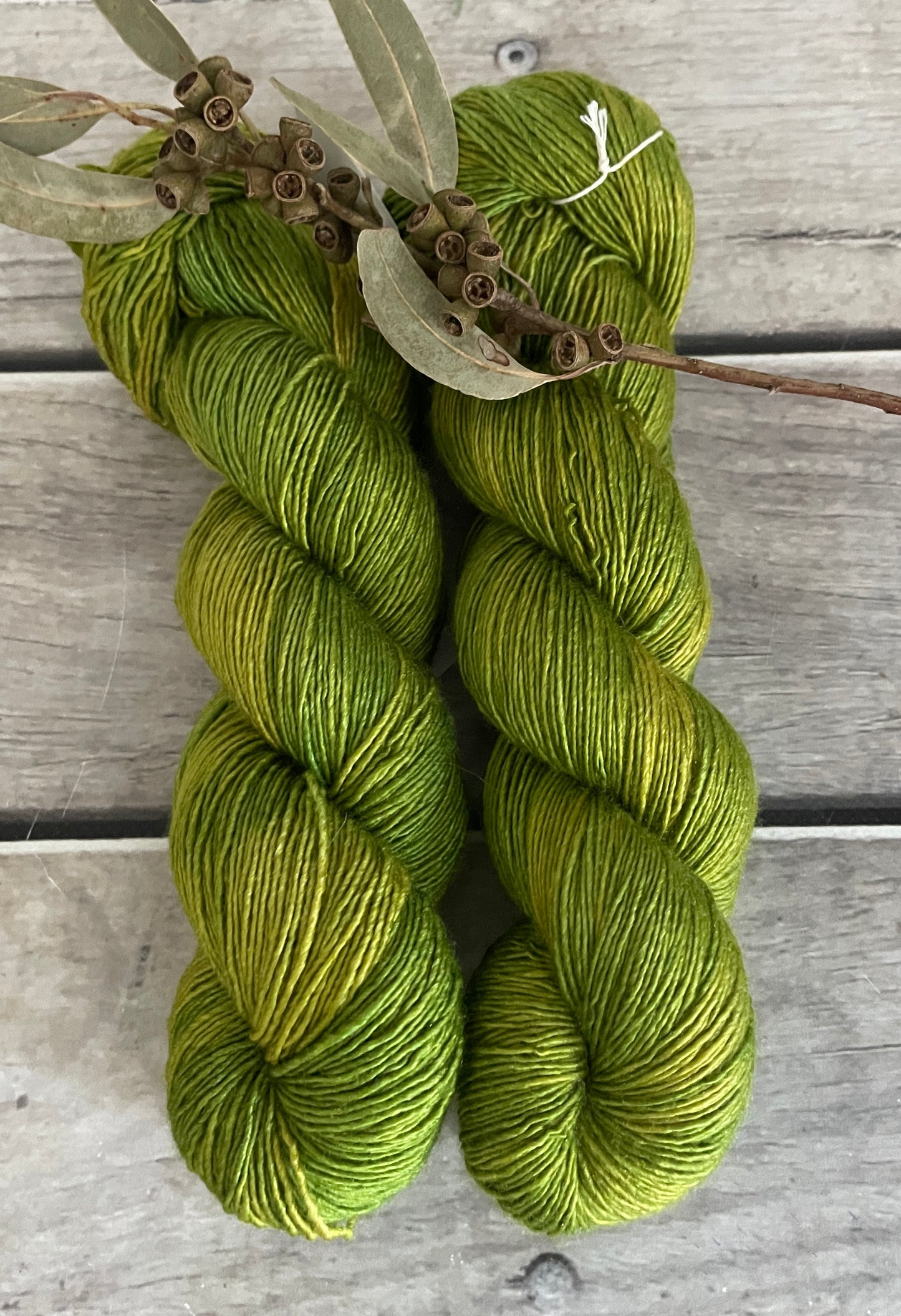 Pickle on Merino and Silk 4 ply single - Osmanthus