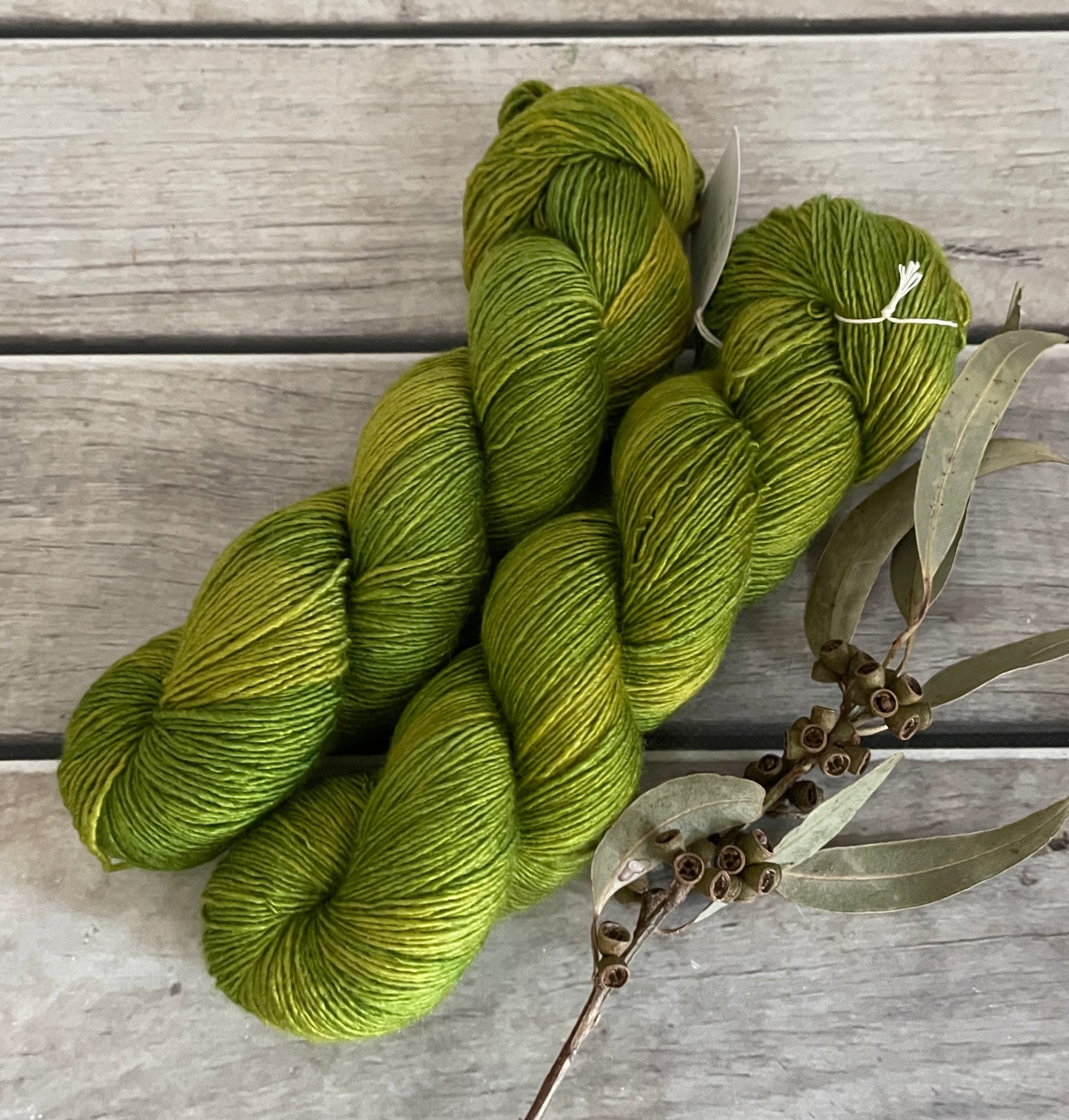 Pickle on Merino and Silk 4 ply single - Osmanthus