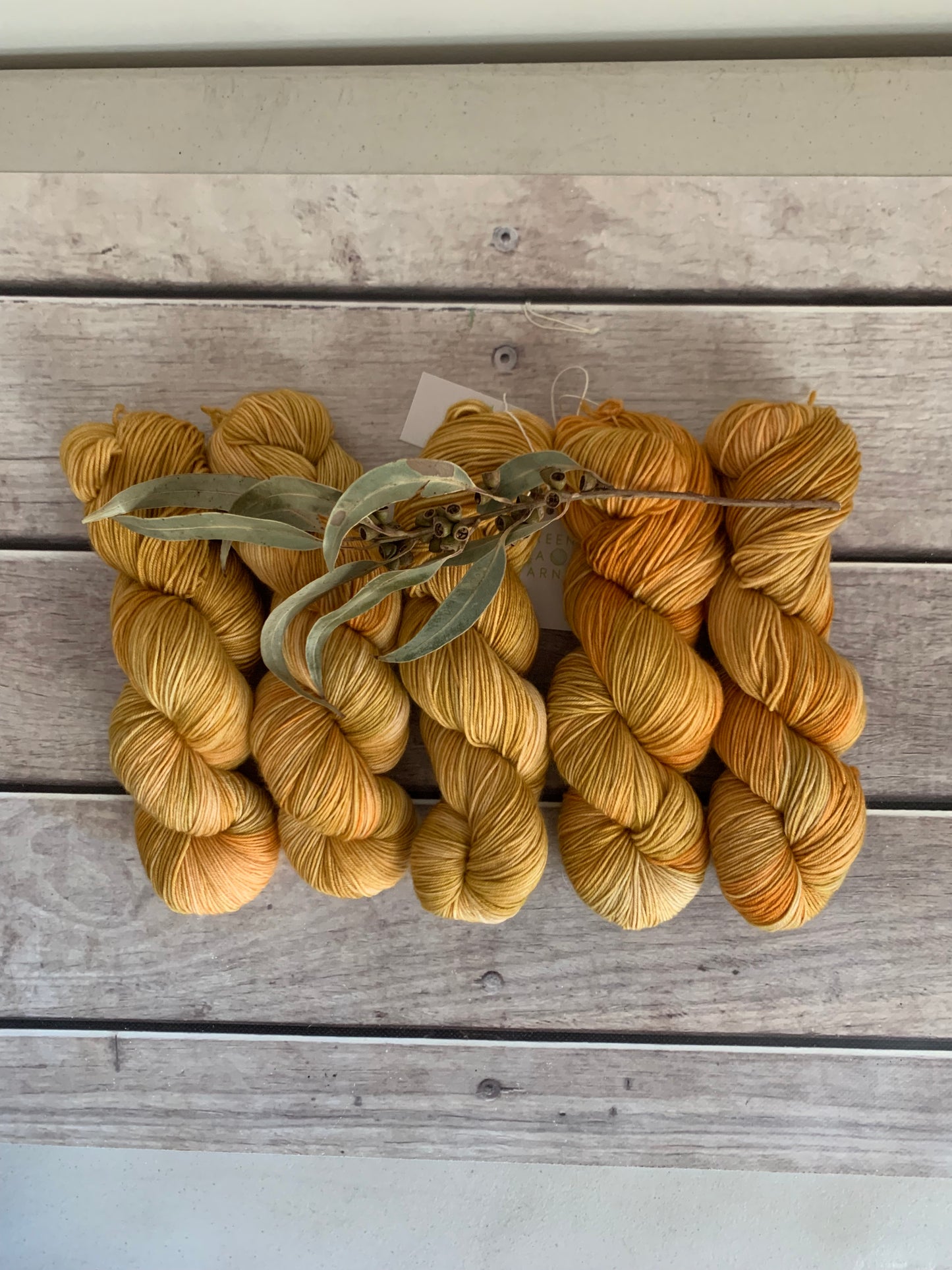 Helena Gum moth #2 - Darjeeling sock yarn - 4 ply