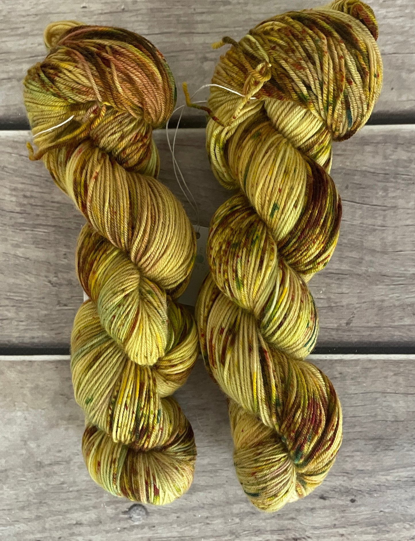 Mixed Spices ooak - sock yarn in merino and nylon - Darjeeling