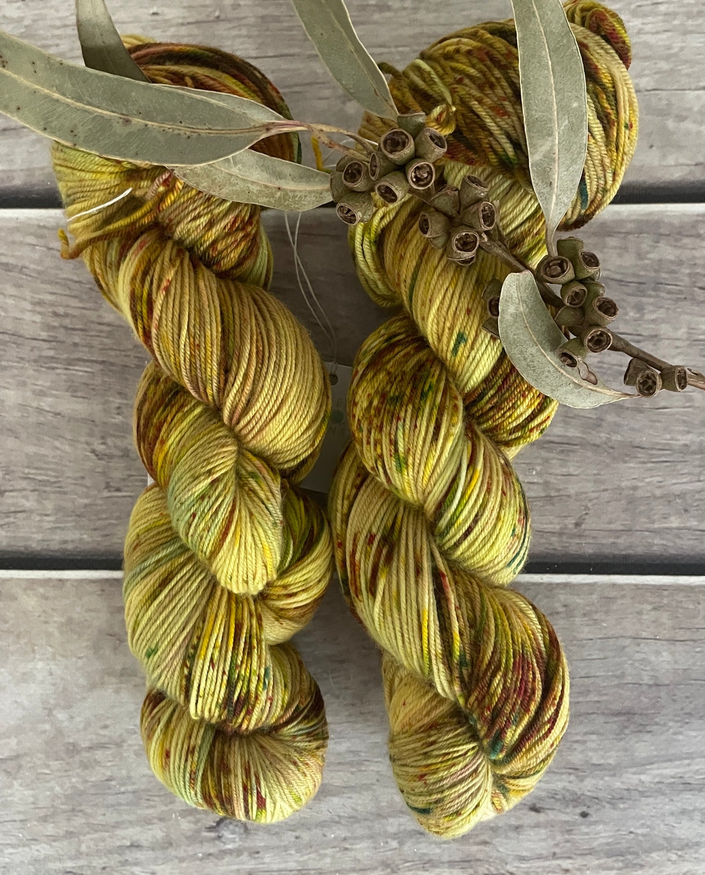 Mixed Spices ooak - sock yarn in merino and nylon - Darjeeling