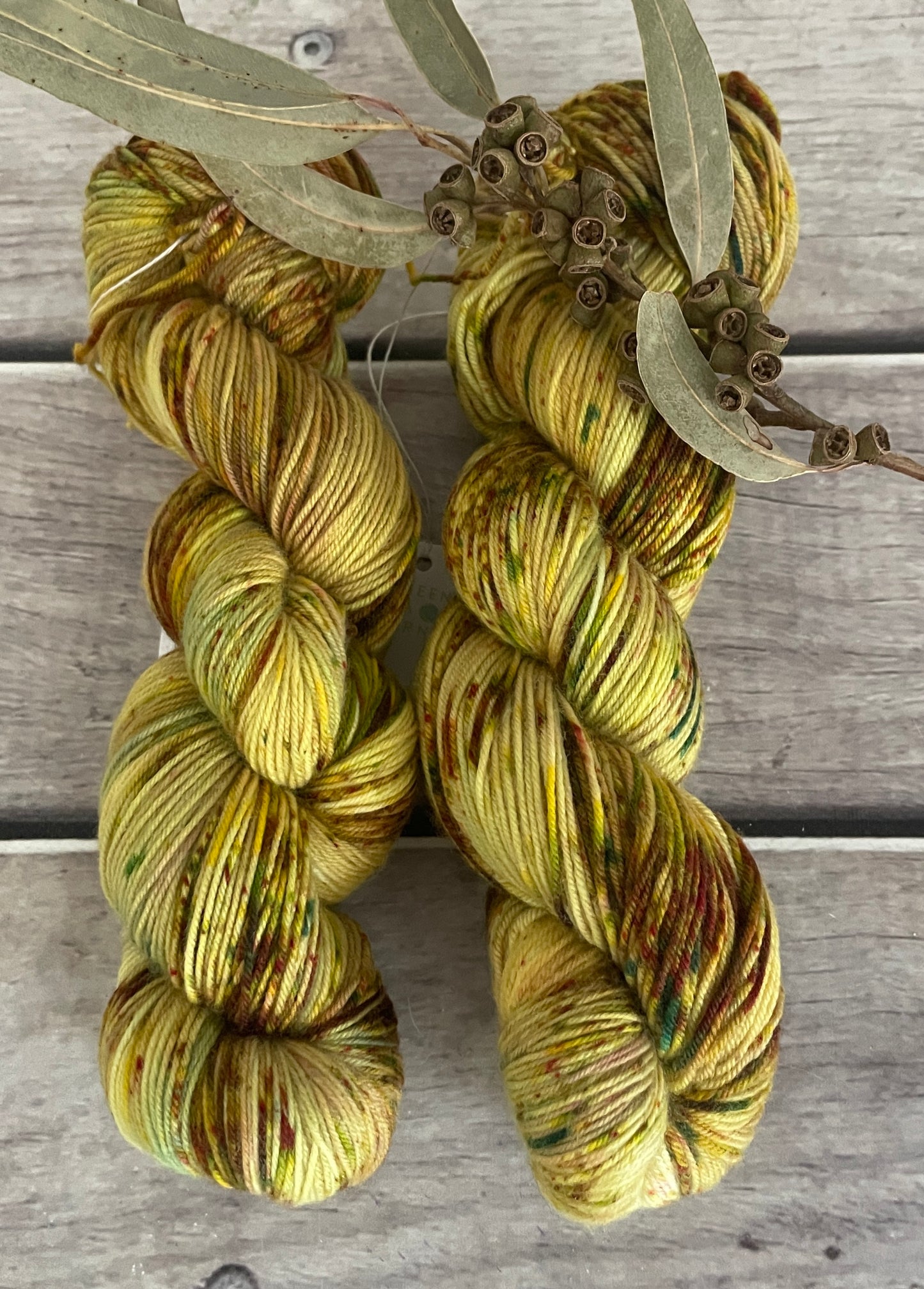 Mixed Spices ooak - sock yarn in merino and nylon - Darjeeling