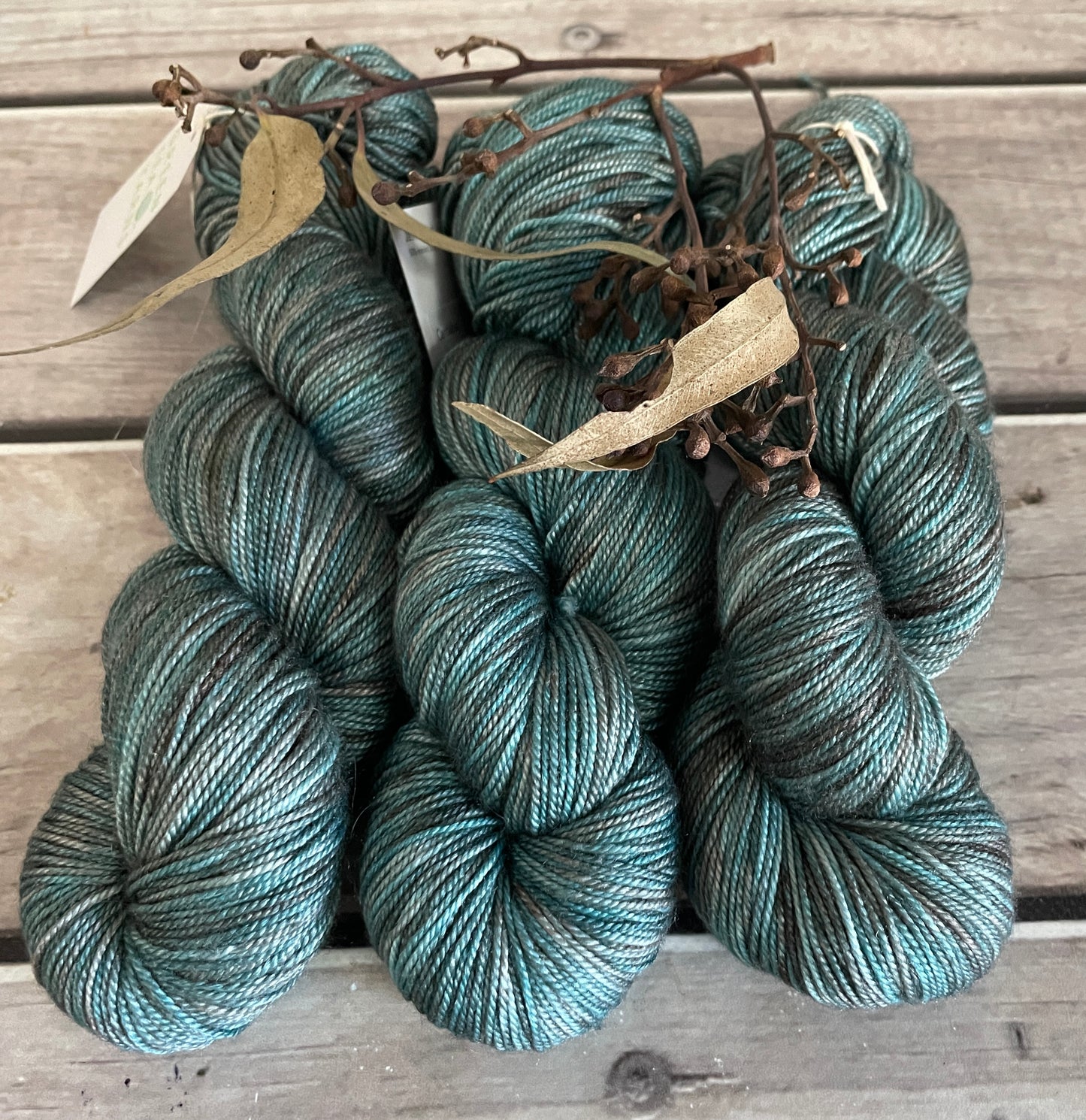 Cardabia Station - 5 Ply merino/silk - Jasmin S