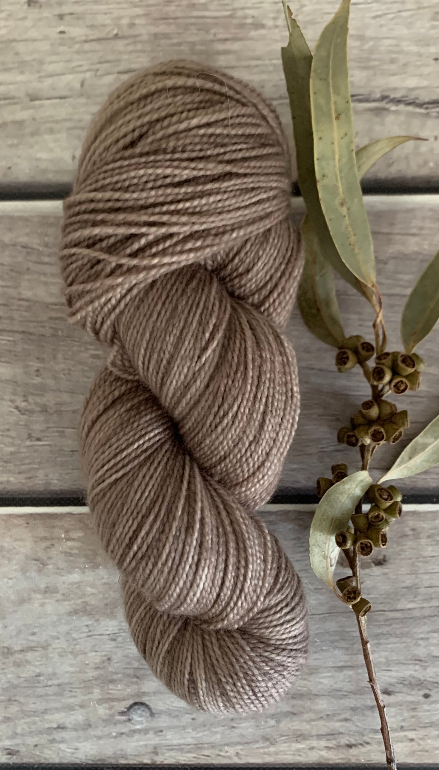 Mushroom ooak on Bush Sock Yarn - 4 ply OB