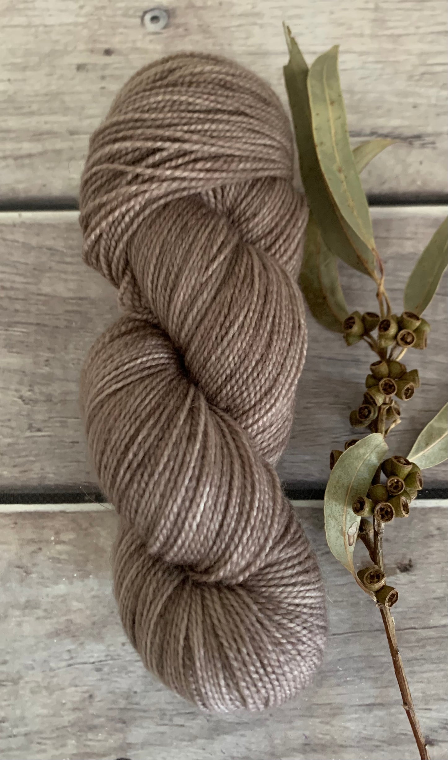 Mushroom ooak on Bush Sock Yarn - 4 ply OB