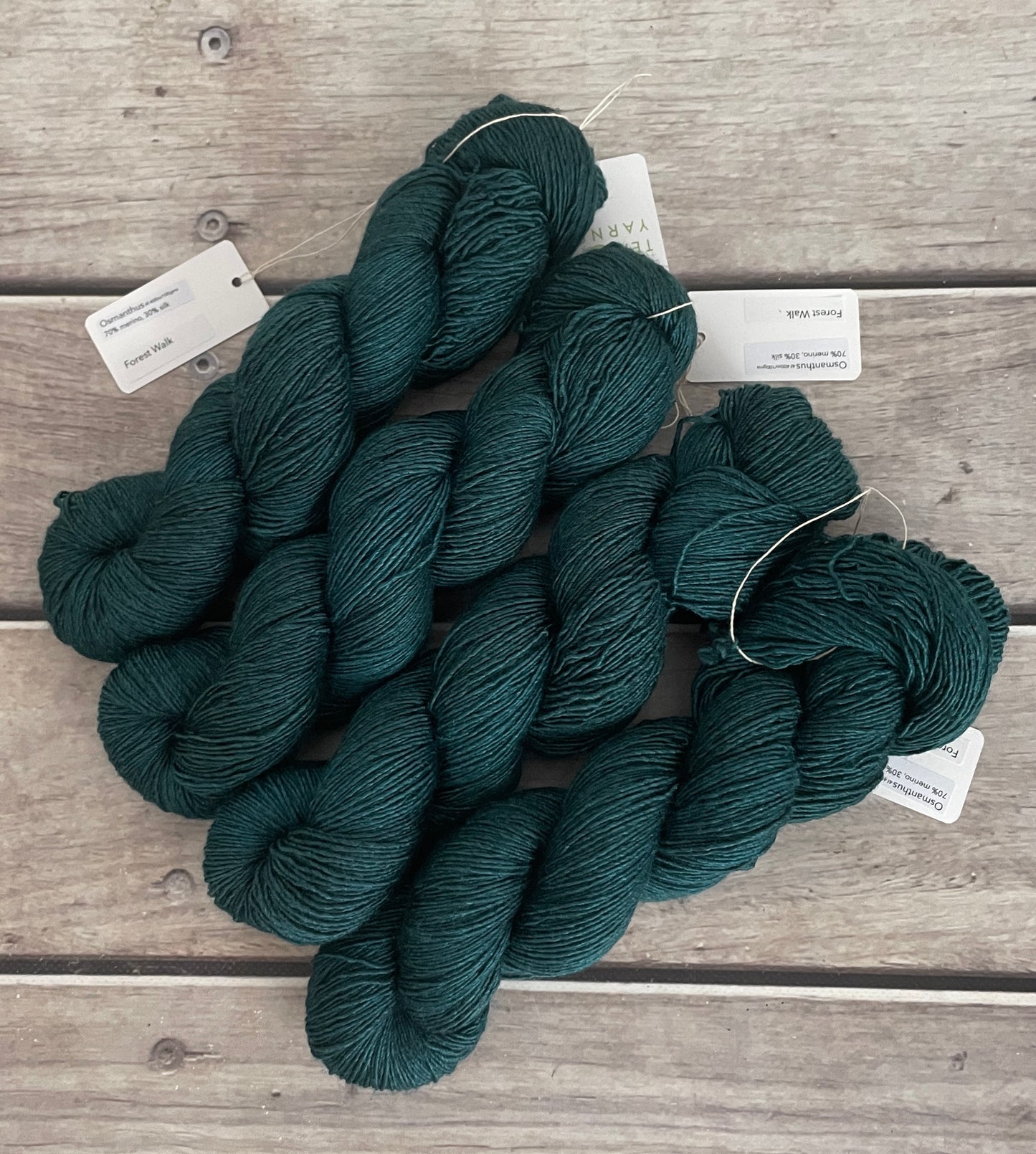 Forest Walk on Merino and Silk 4 ply single - Osmanthus