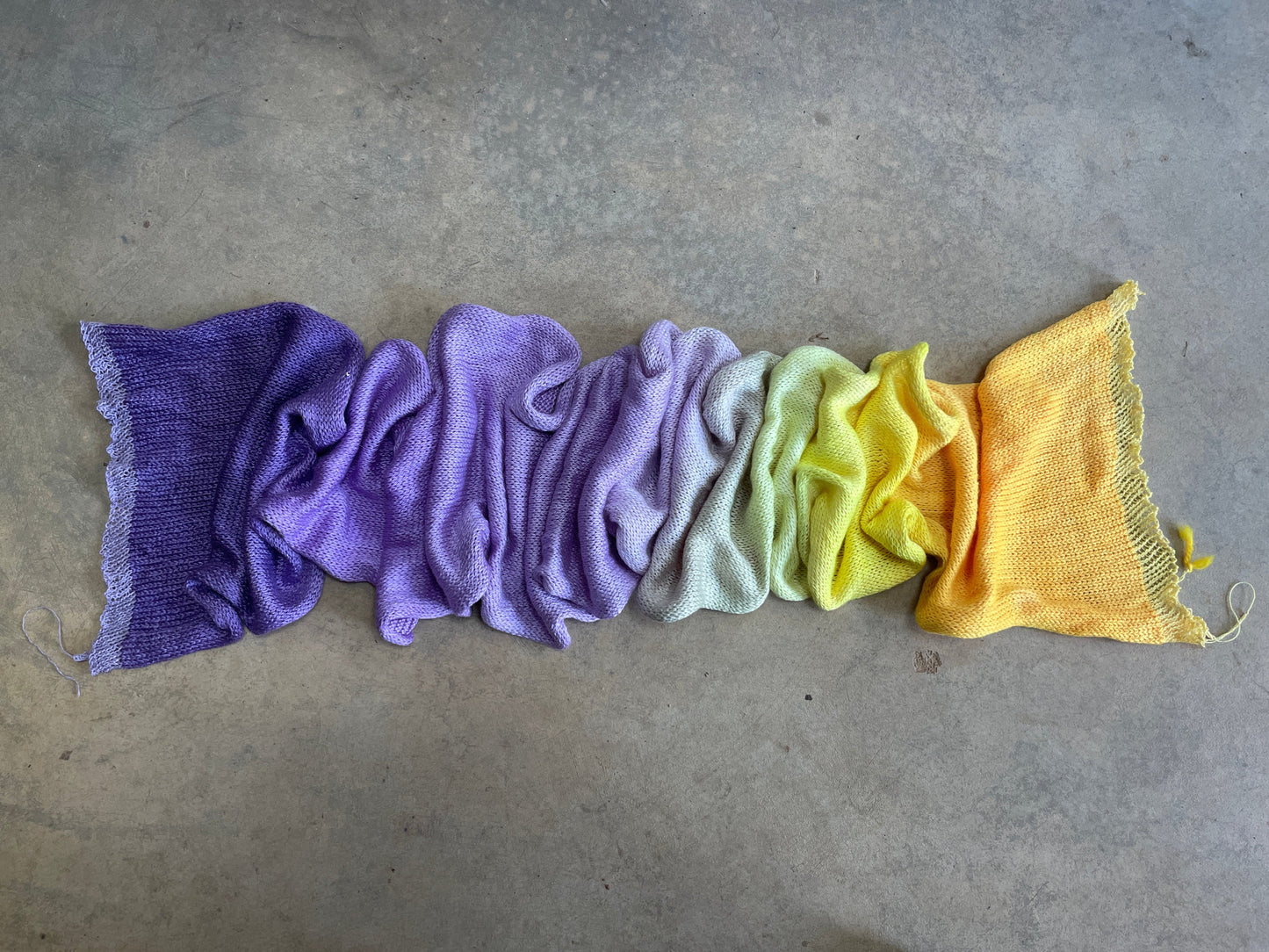 A stunning long gradient in the colours of a spring crocus