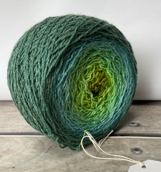 Temperate Rainforest - White Cloud f - 200gms gradient