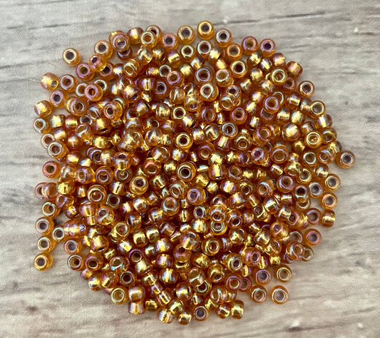Miyuki 6 - Dark Gold A/B