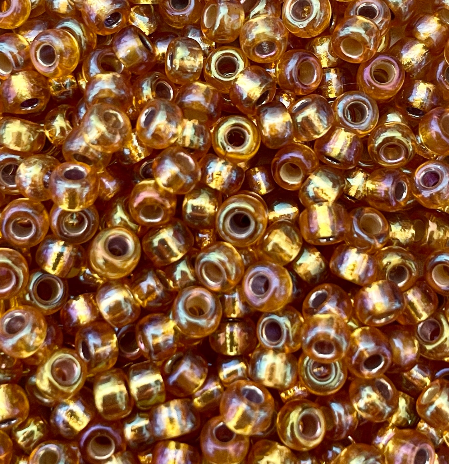 Miyuki 6 - Dark Gold A/B