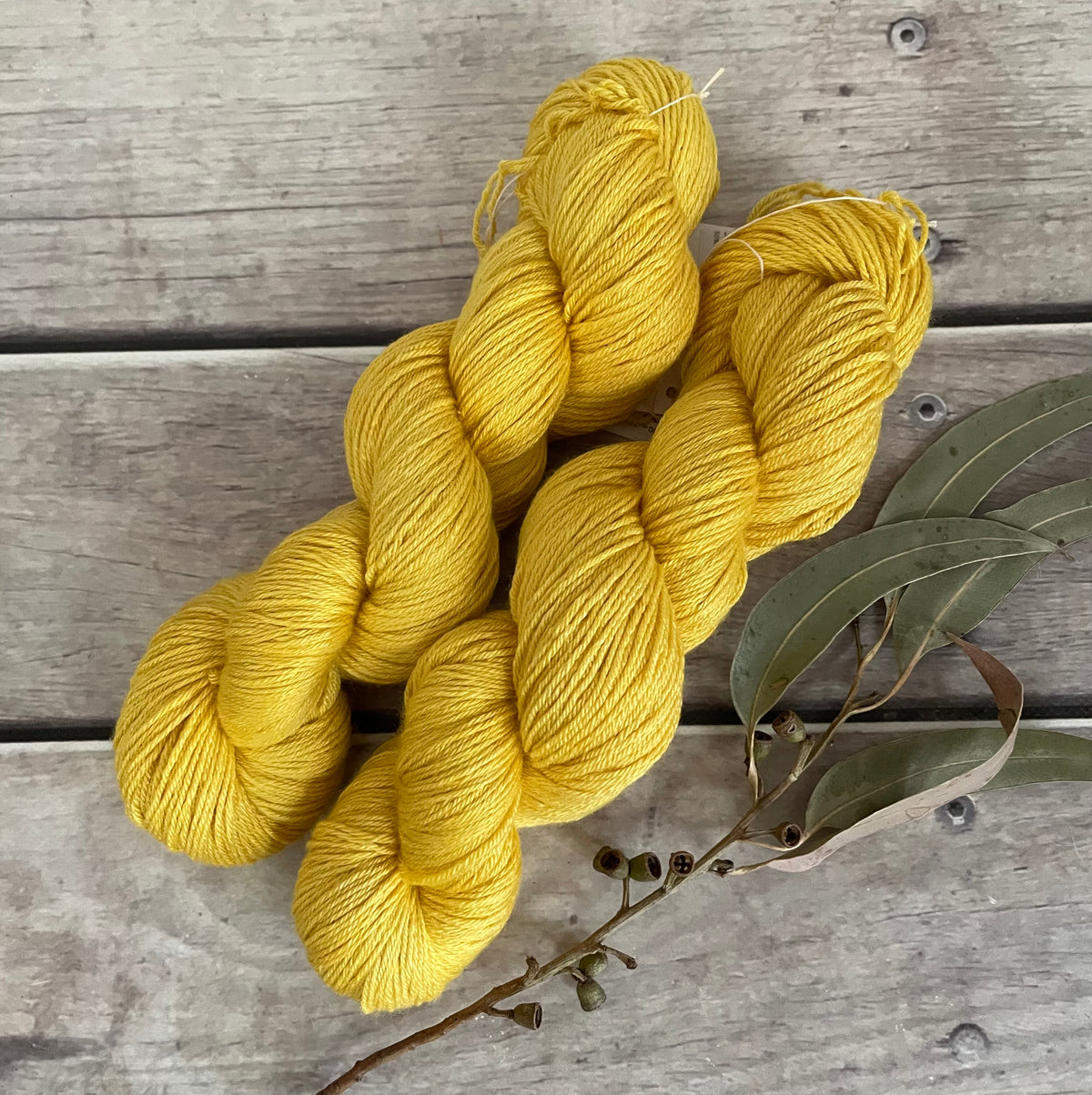 You are my Sunshine - 4ply/fingering - silk and merino - Jasmine 4