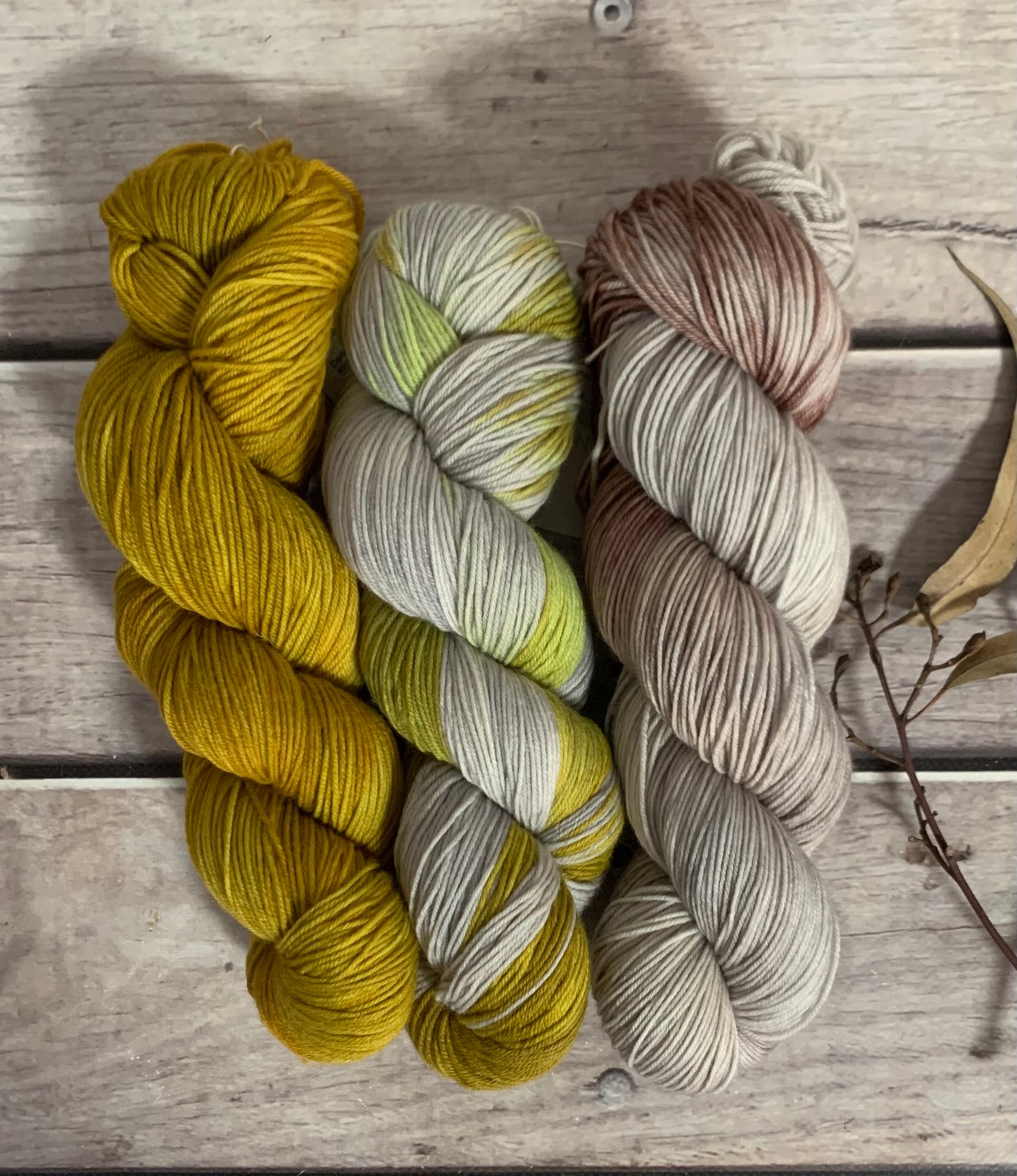 Silvereye - Darjeeling 3-skein sock set