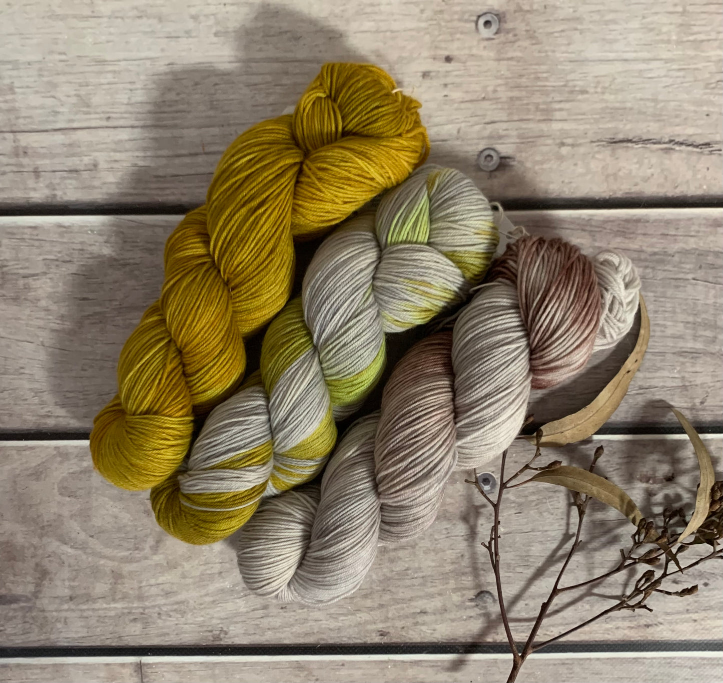 Silvereye - Darjeeling 3-skein sock set