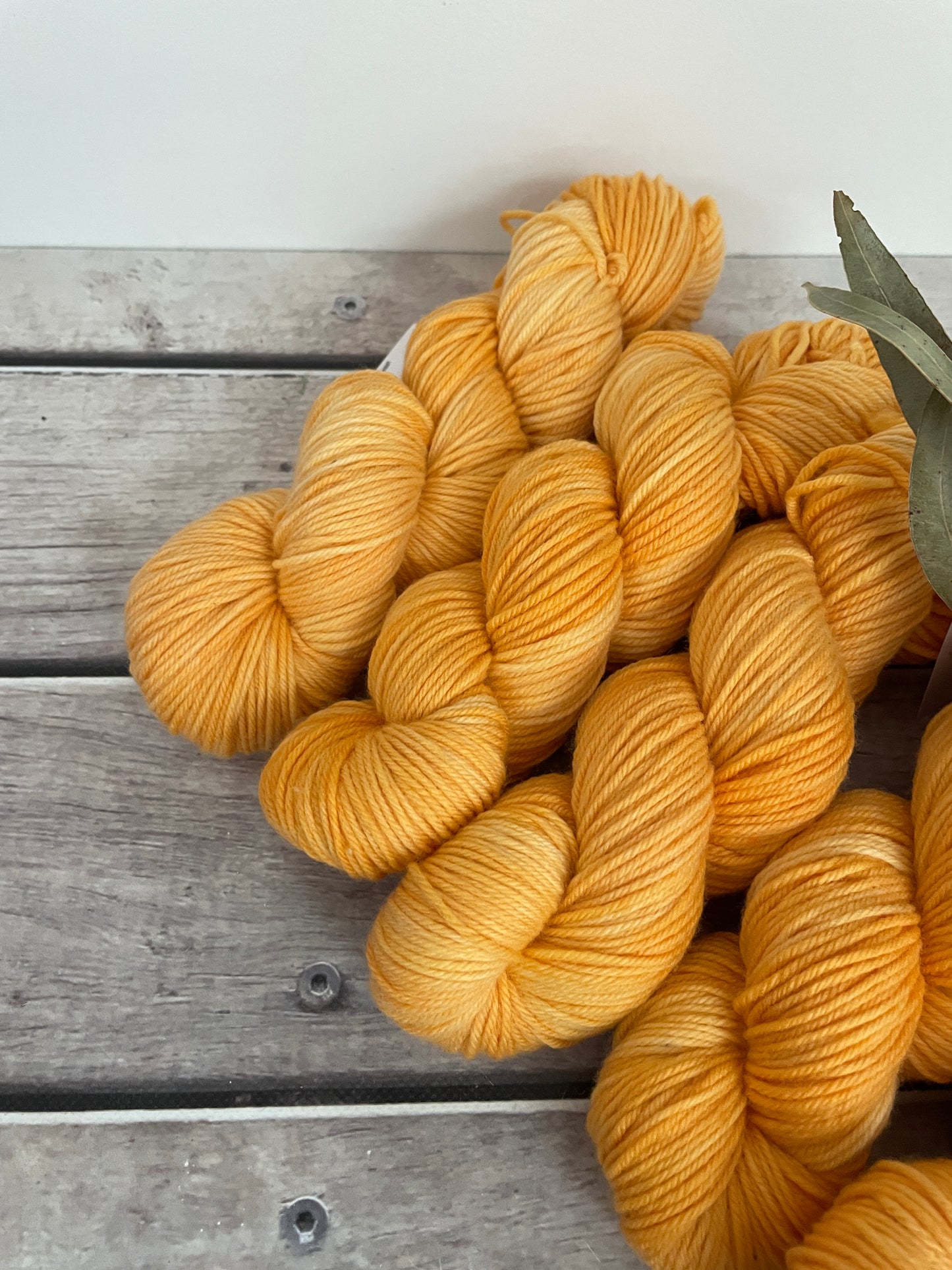 Apricot Mist - 8 ply merino and nylon sock yarn - Darjeeling DK