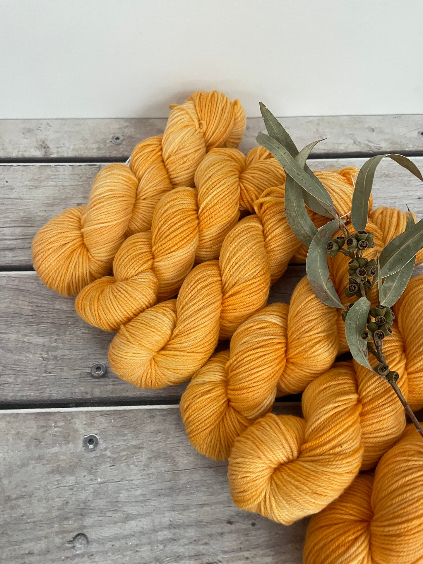 Apricot Mist - 8 ply merino and nylon sock yarn - Darjeeling DK