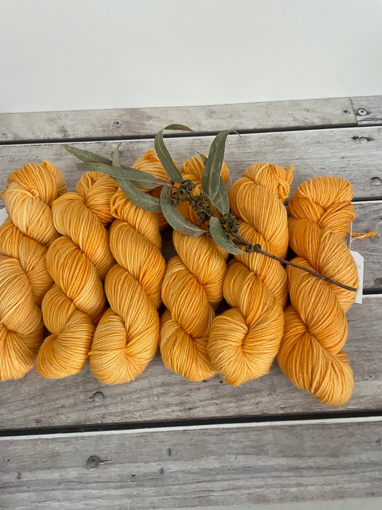 Apricot Mist - 8 ply merino and nylon sock yarn - Darjeeling DK