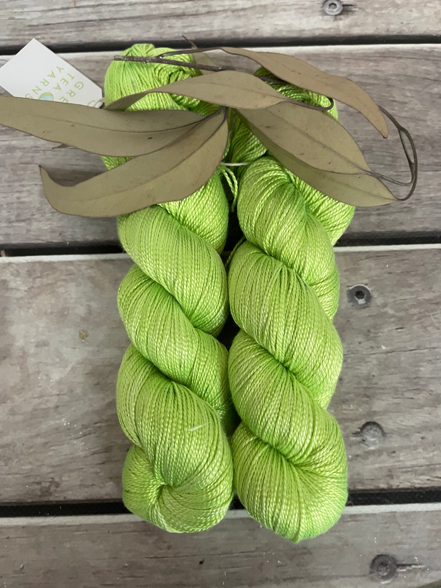 Wild Things -Zowee! - 4 ply silk  - Ginseng f