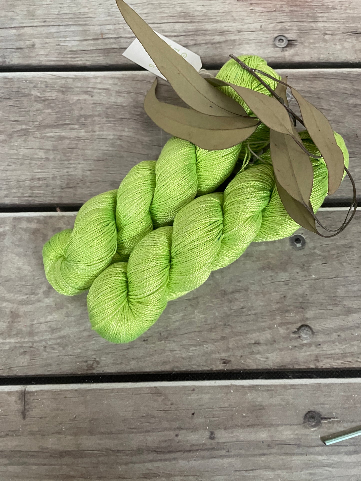 Wild Things -Zowee! - 4 ply silk  - Ginseng f