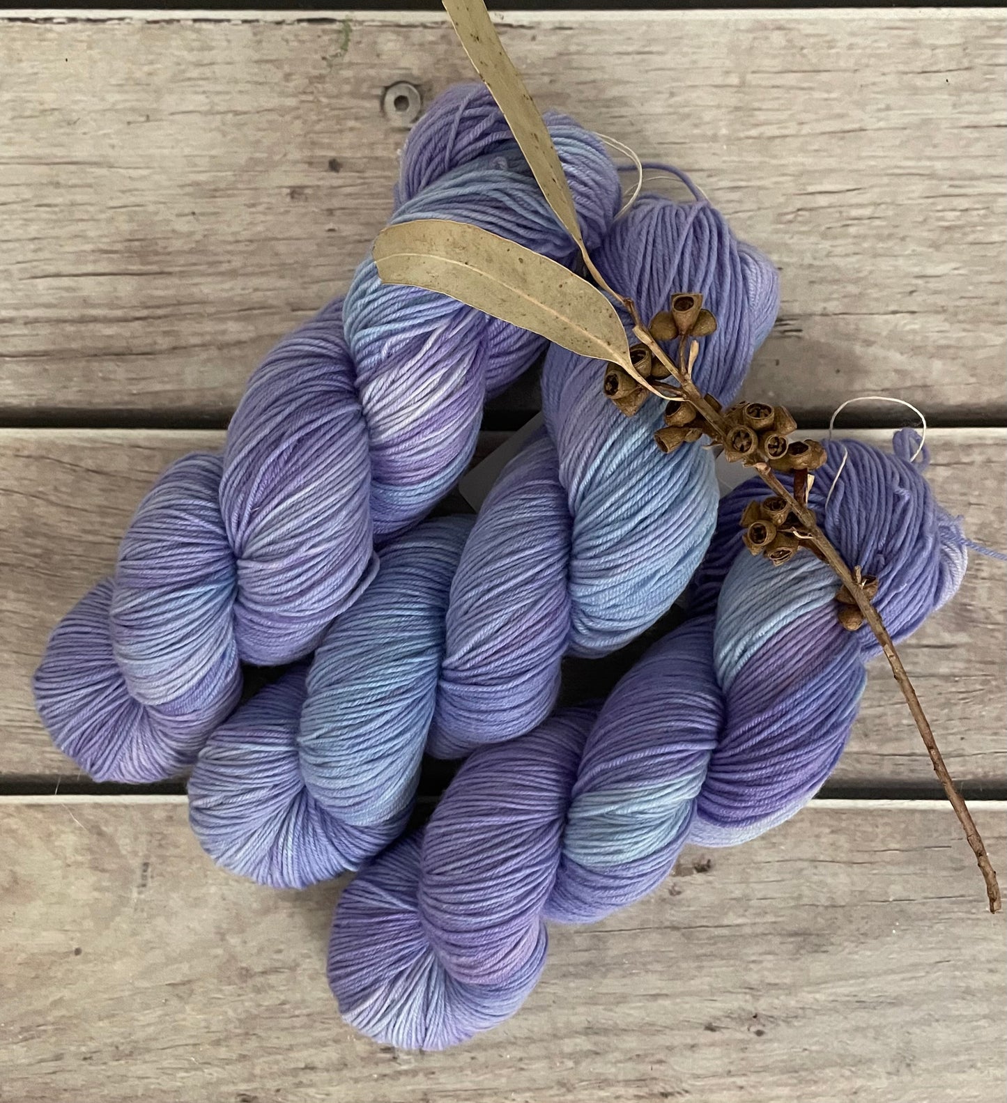 Aurora whole skeins - Merino/Nylon - Darjeeling