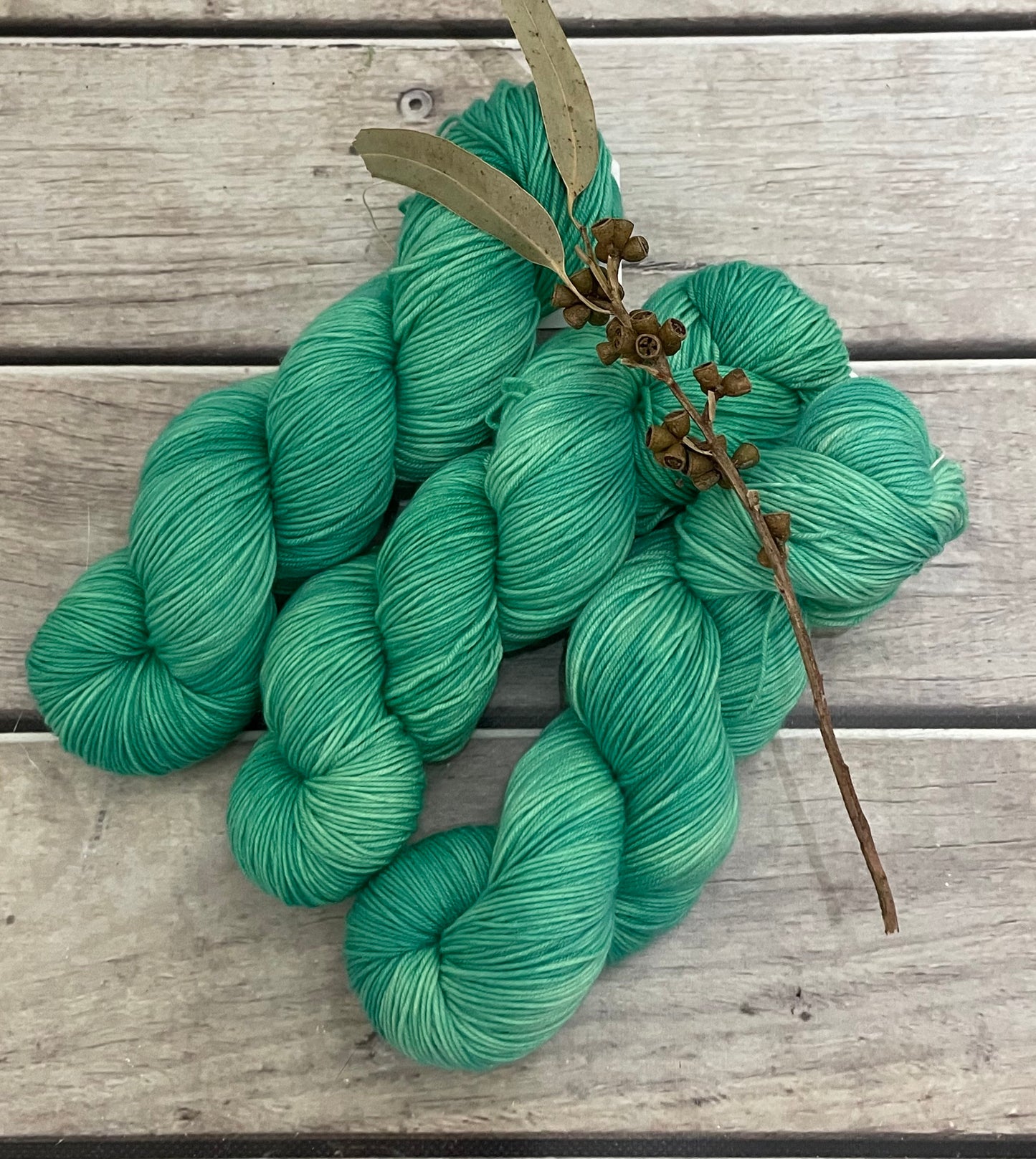 Aurora whole skeins - Merino/Nylon - Darjeeling