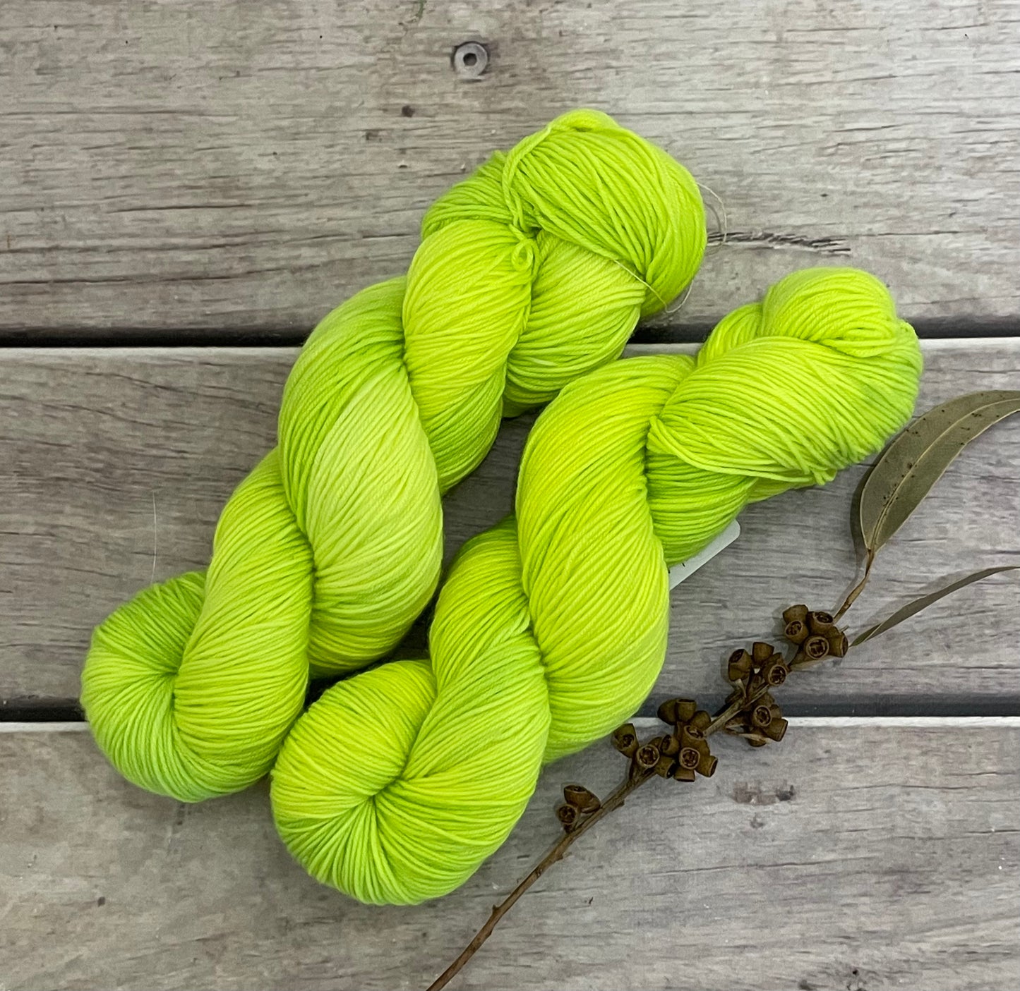 Aurora whole skeins - Merino/Nylon - Darjeeling