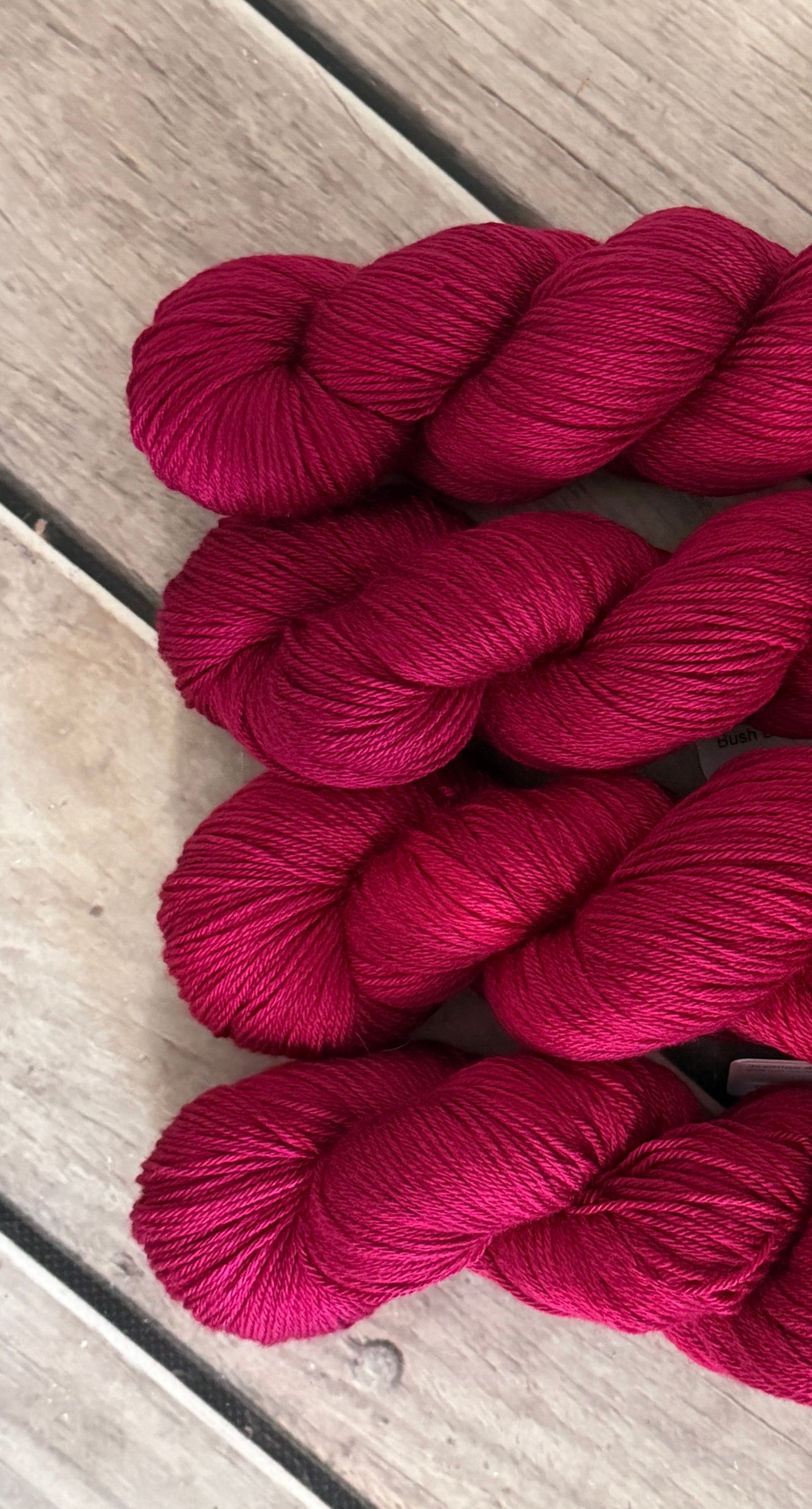 Bush Berries - 4ply/fingering - silk and merino yarn - Jasmine 4