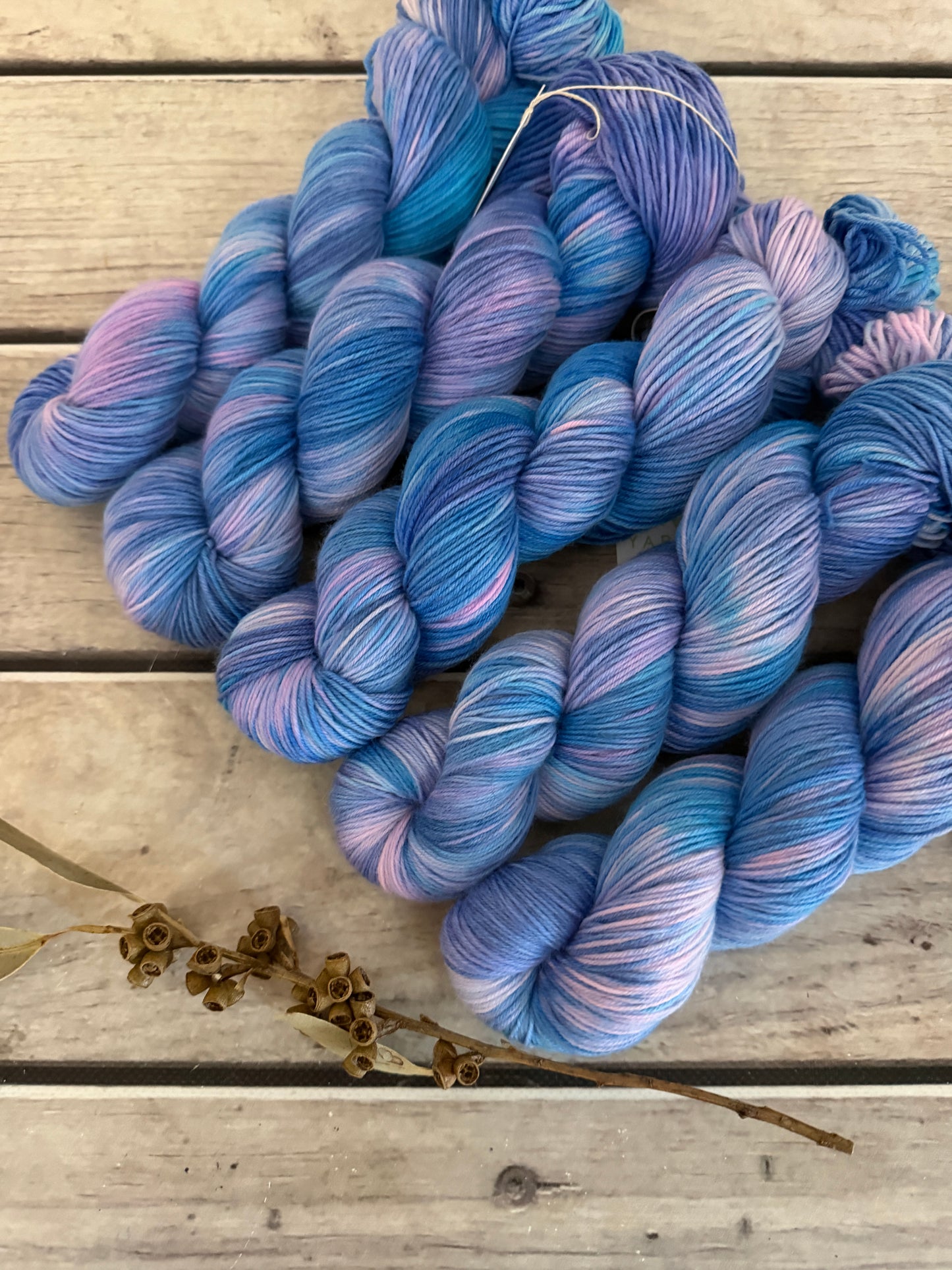 Fairy Floss - 4 ply sock yarn in merino and nylon - Darjeeling 4