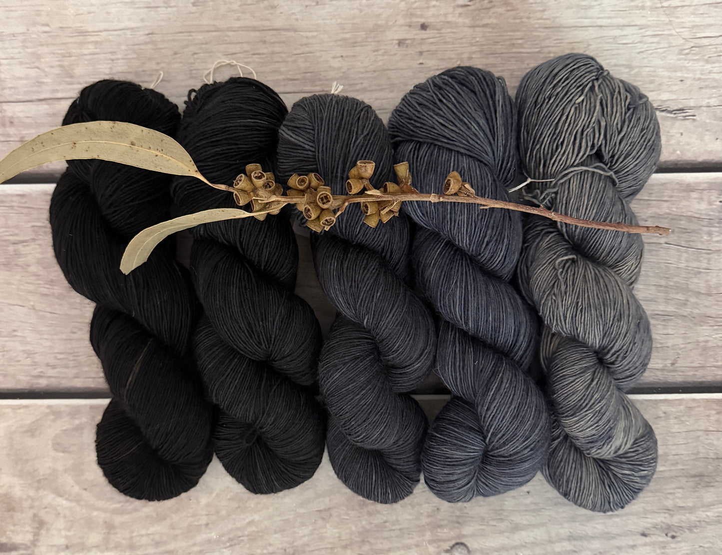 Echoes_ 5 skein fade_sw merino_Pine