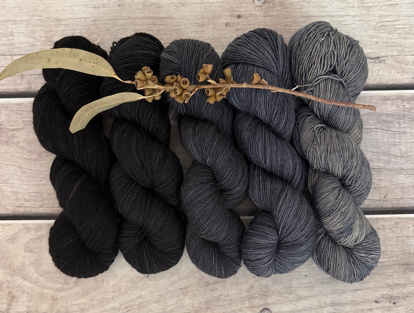 Echoes_ 5 skein fade_sw merino_Pine