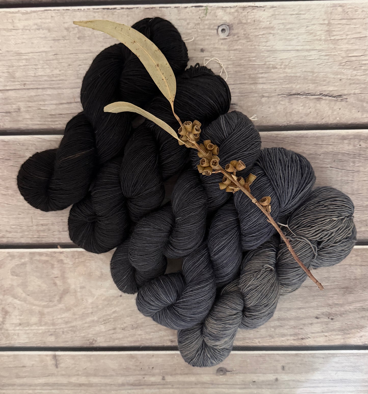 Echoes_ 5 skein fade_sw merino_Pine