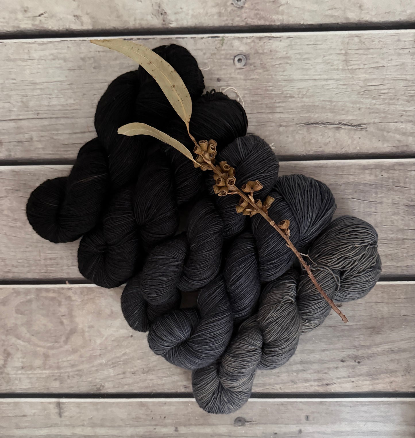 Echoes_ 5 skein fade_sw merino_Pine