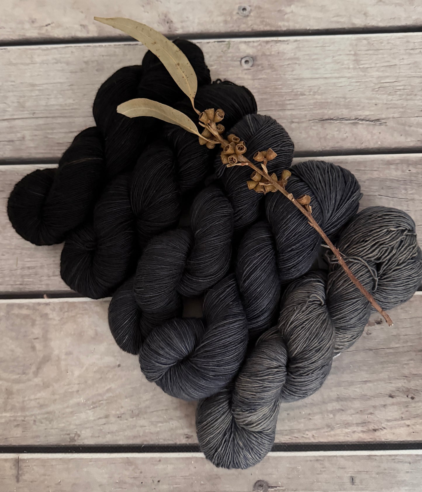 Echoes_ 5 skein fade_sw merino_Pine