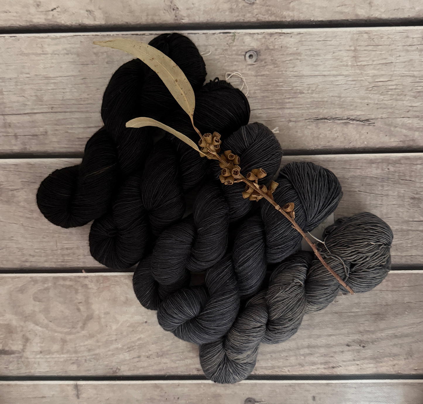 Echoes_ 5 skein fade_sw merino_Pine