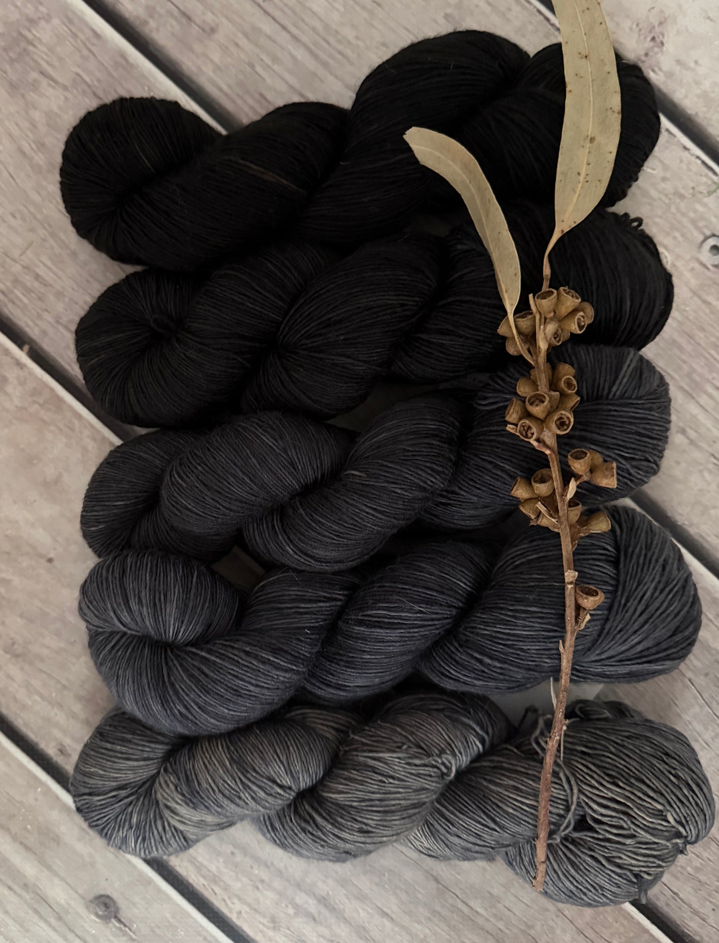 Echoes_ 5 skein fade_sw merino_Pine