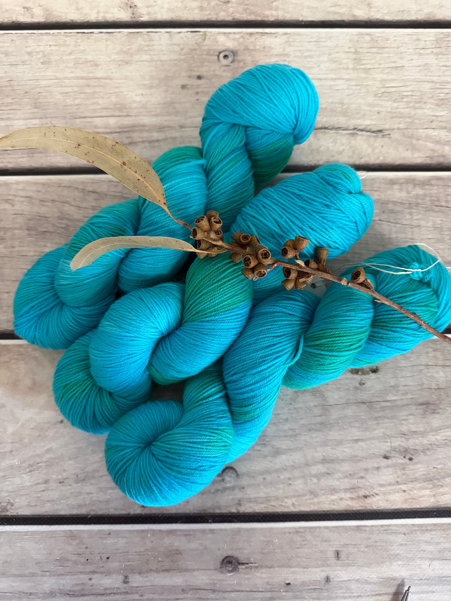 Neon Cuckoo Bee #2- 4 ply merino/nylon sock yarn - Darjeeling 4