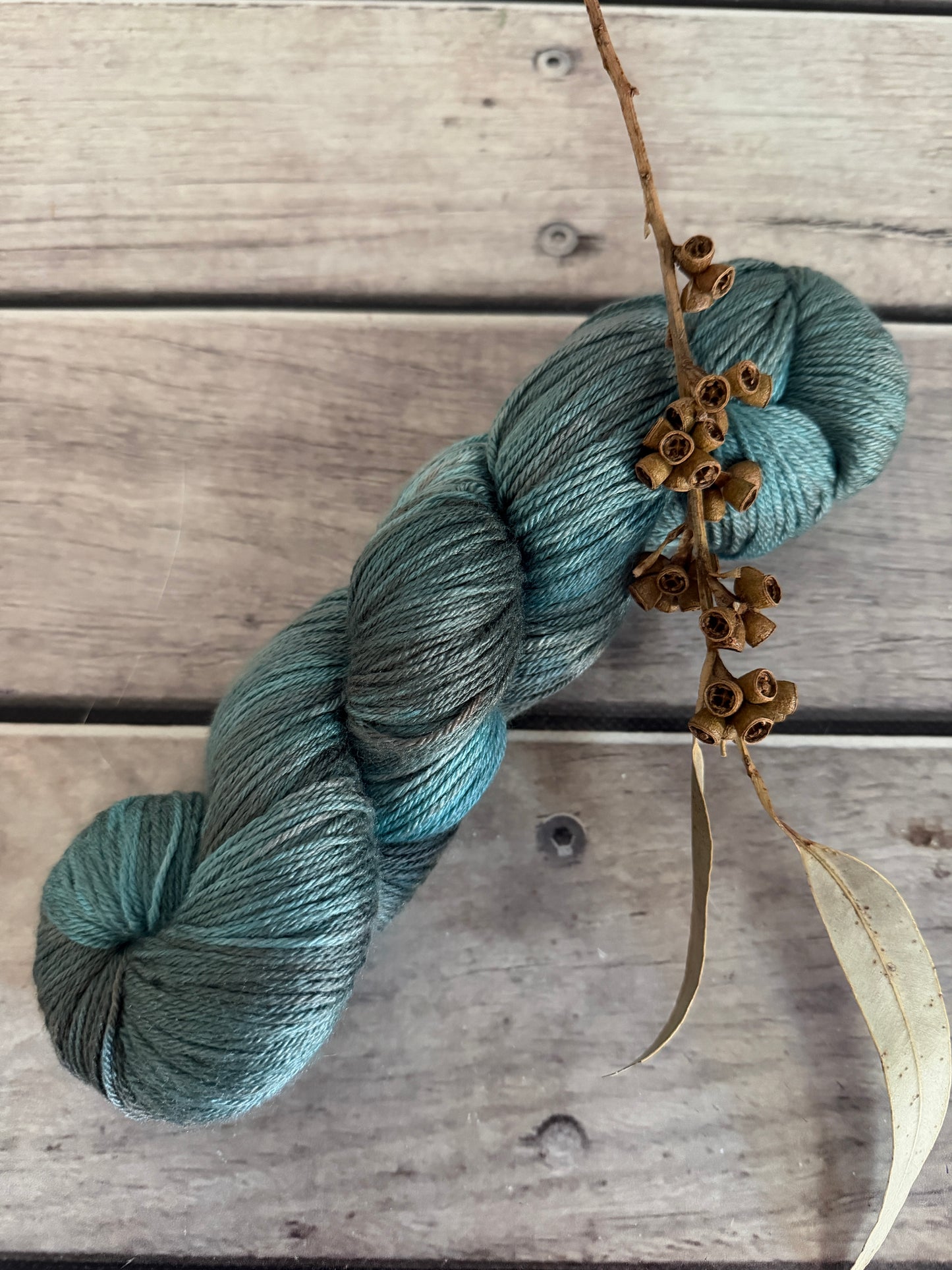 Cardabia Station - 4 ply silk and merino - Jasmine 4