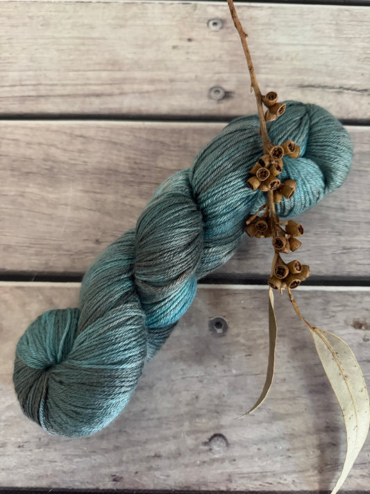 Cardabia Station - 4 ply silk and merino - Jasmine 4